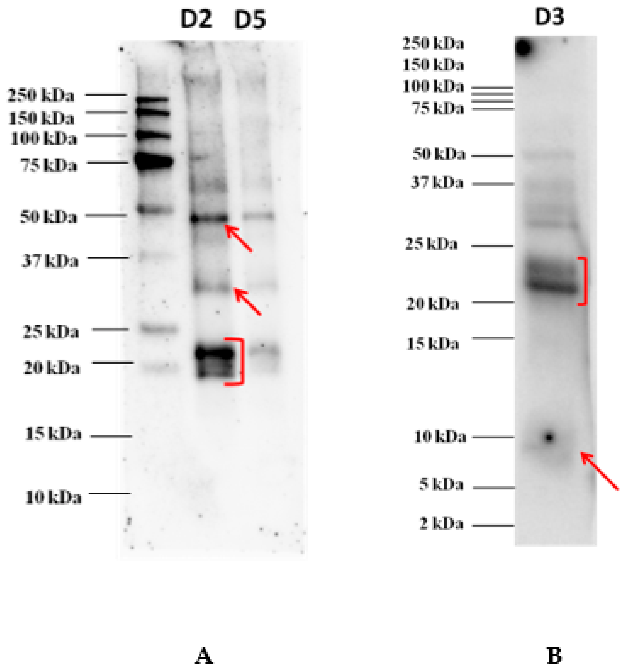 Biomolecules 10 00689 g002