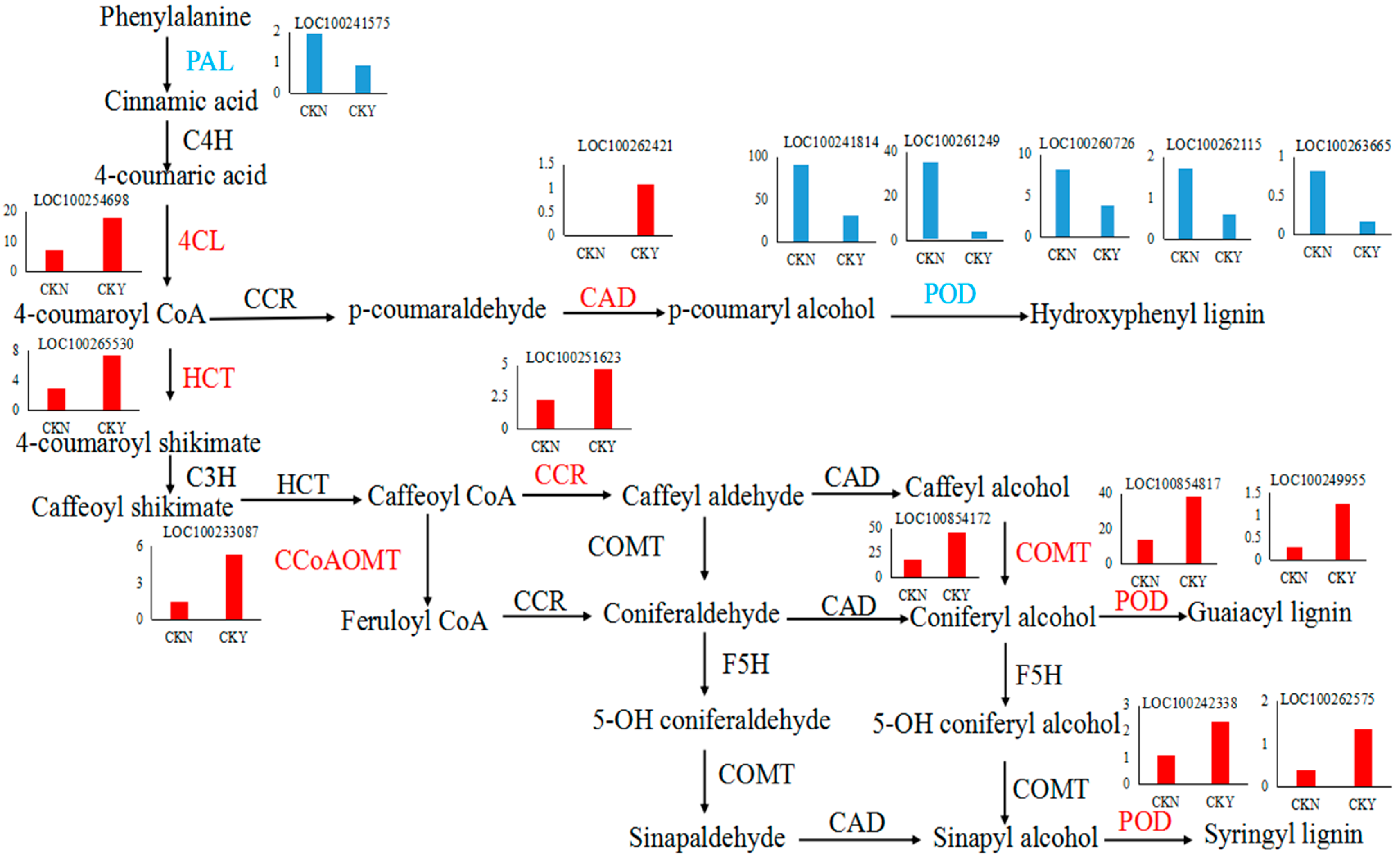 Biomolecules 10 00690 g009 Biomolecules 10 00690 g009