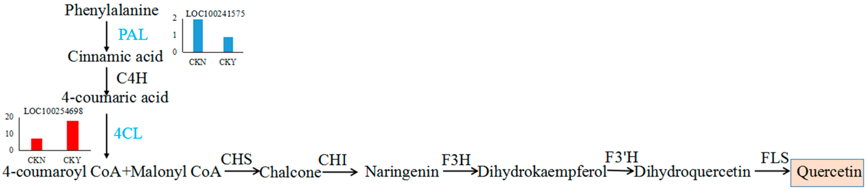 Biomolecules 10 00690 g010 Biomolecules 10 00690 g010