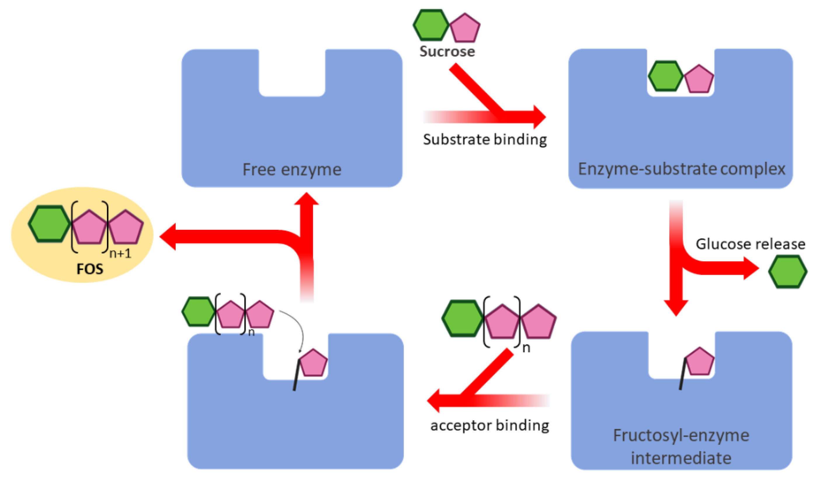 Biomolecules 10 00692 g001
