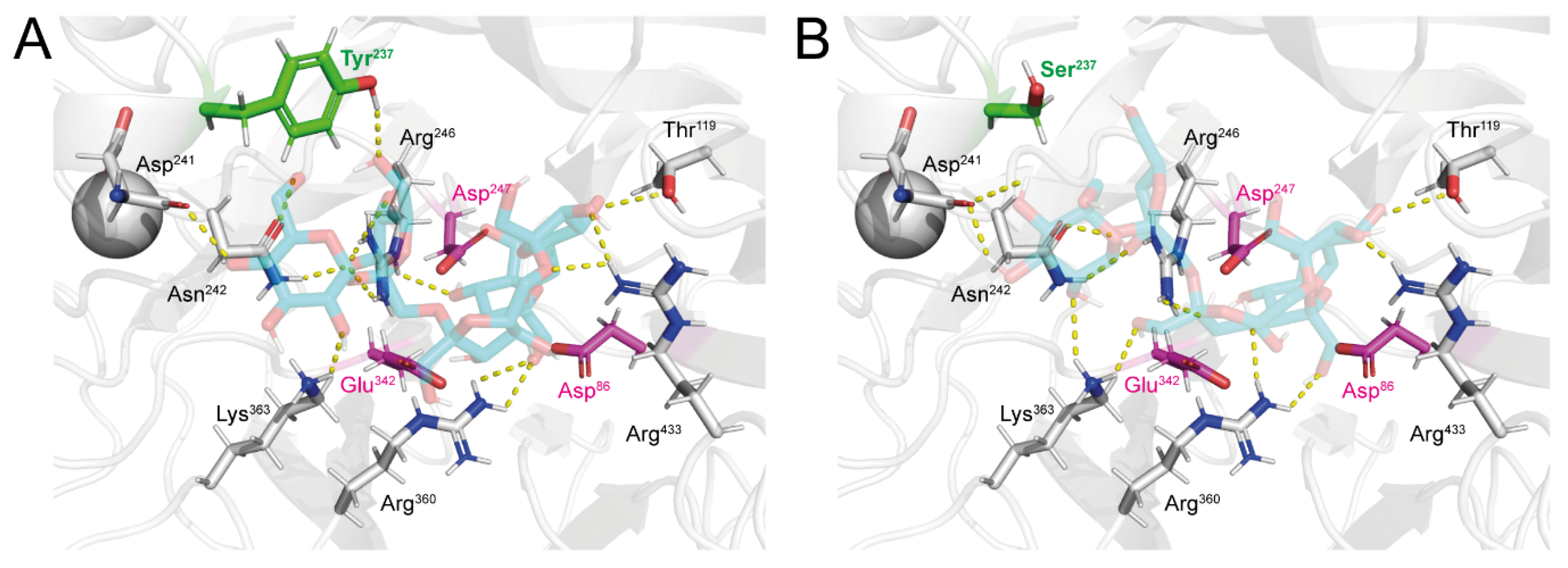Biomolecules 10 00692 g004