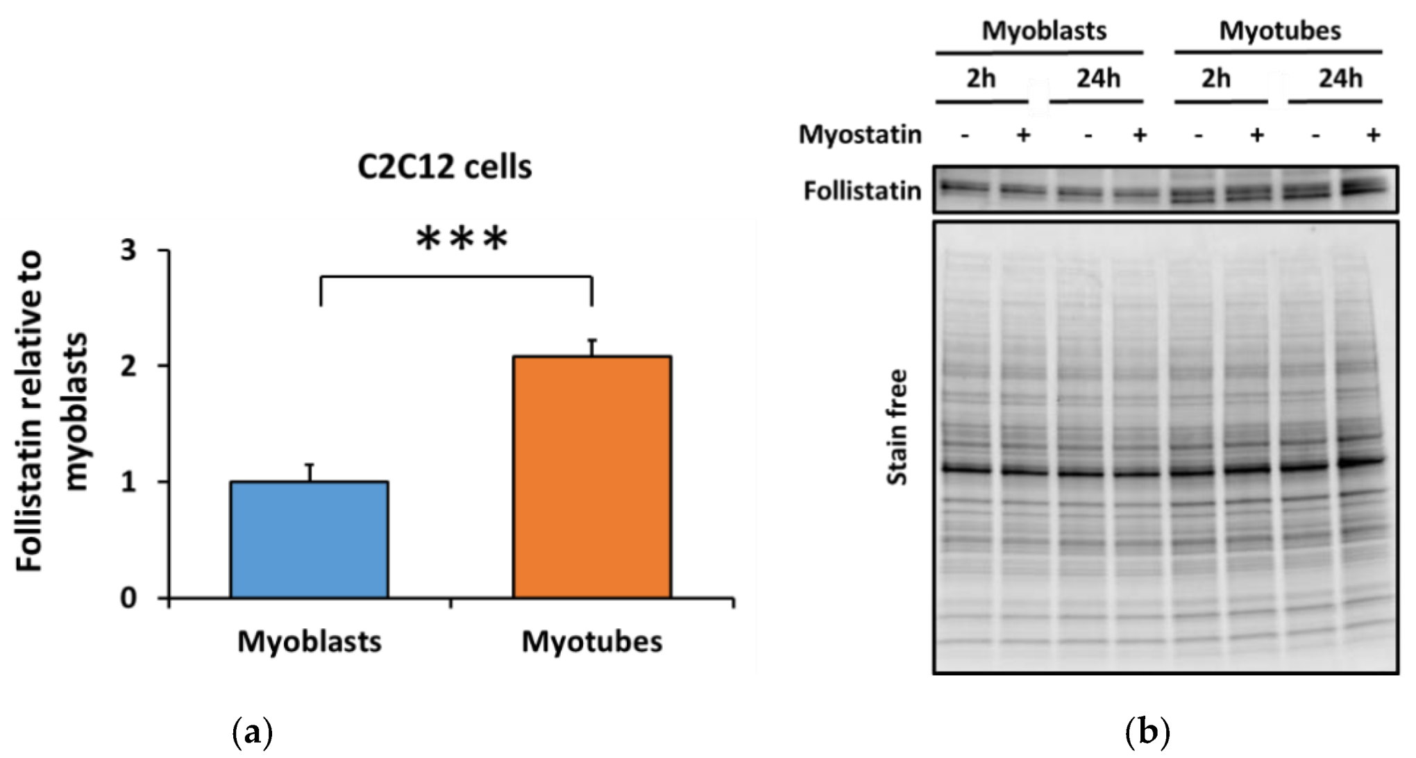 Biomolecules 10 00695 g006 Biomolecules 10 00695 g006