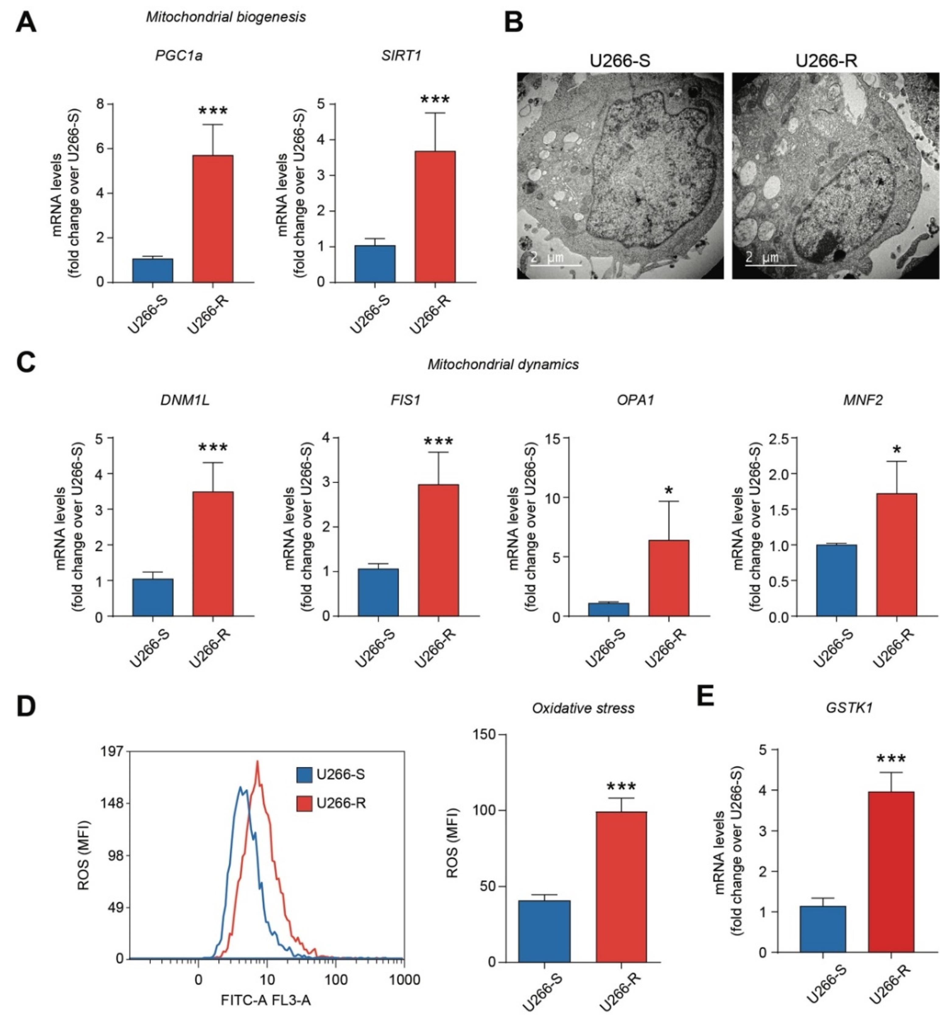 Biomolecules 10 00696 g001 Biomolecules 10 00696 g001