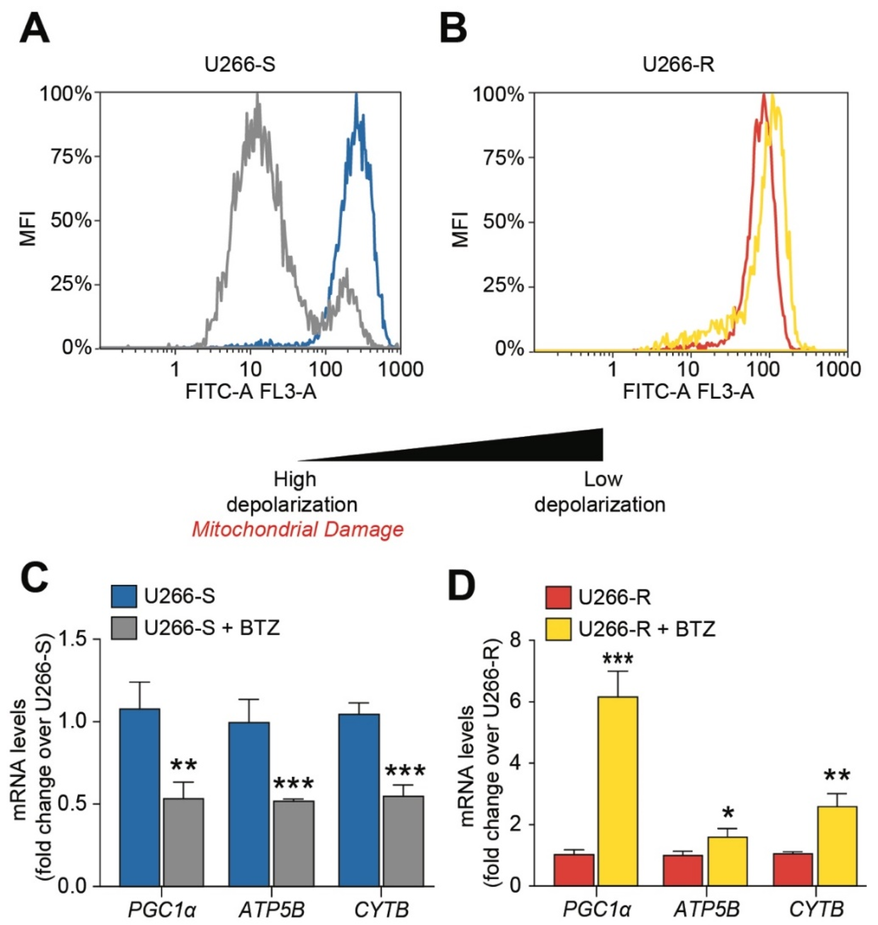 Biomolecules 10 00696 g003 Biomolecules 10 00696 g003