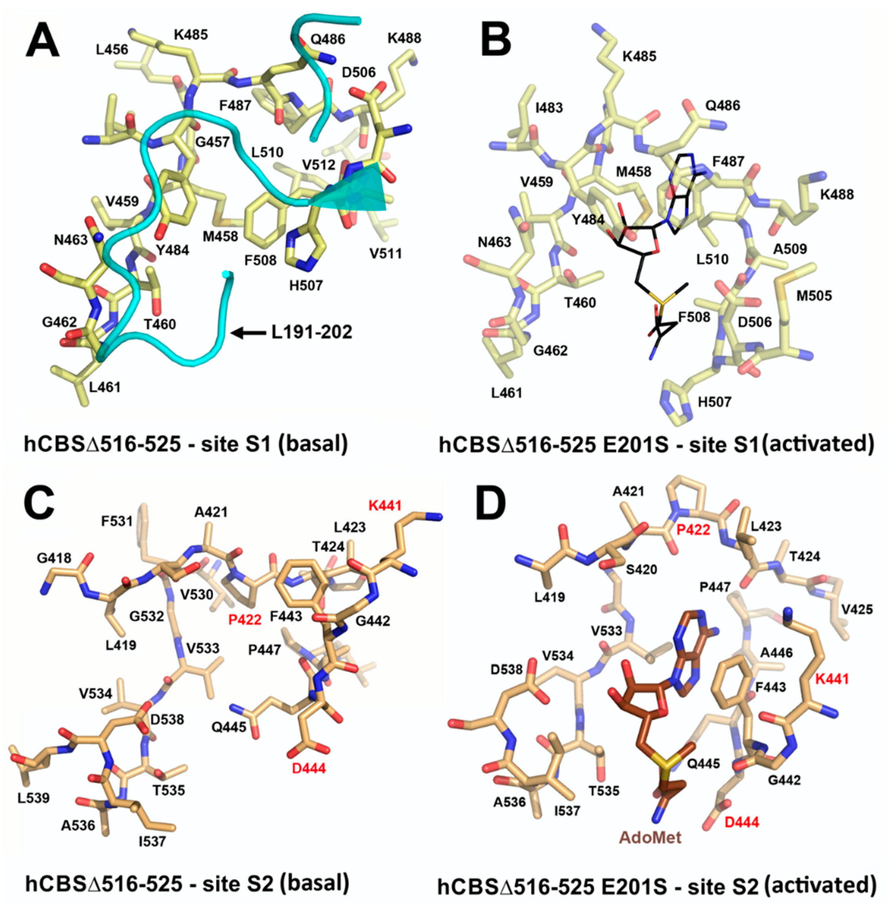 Biomolecules 10 00697 g007 Biomolecules 10 00697 g007