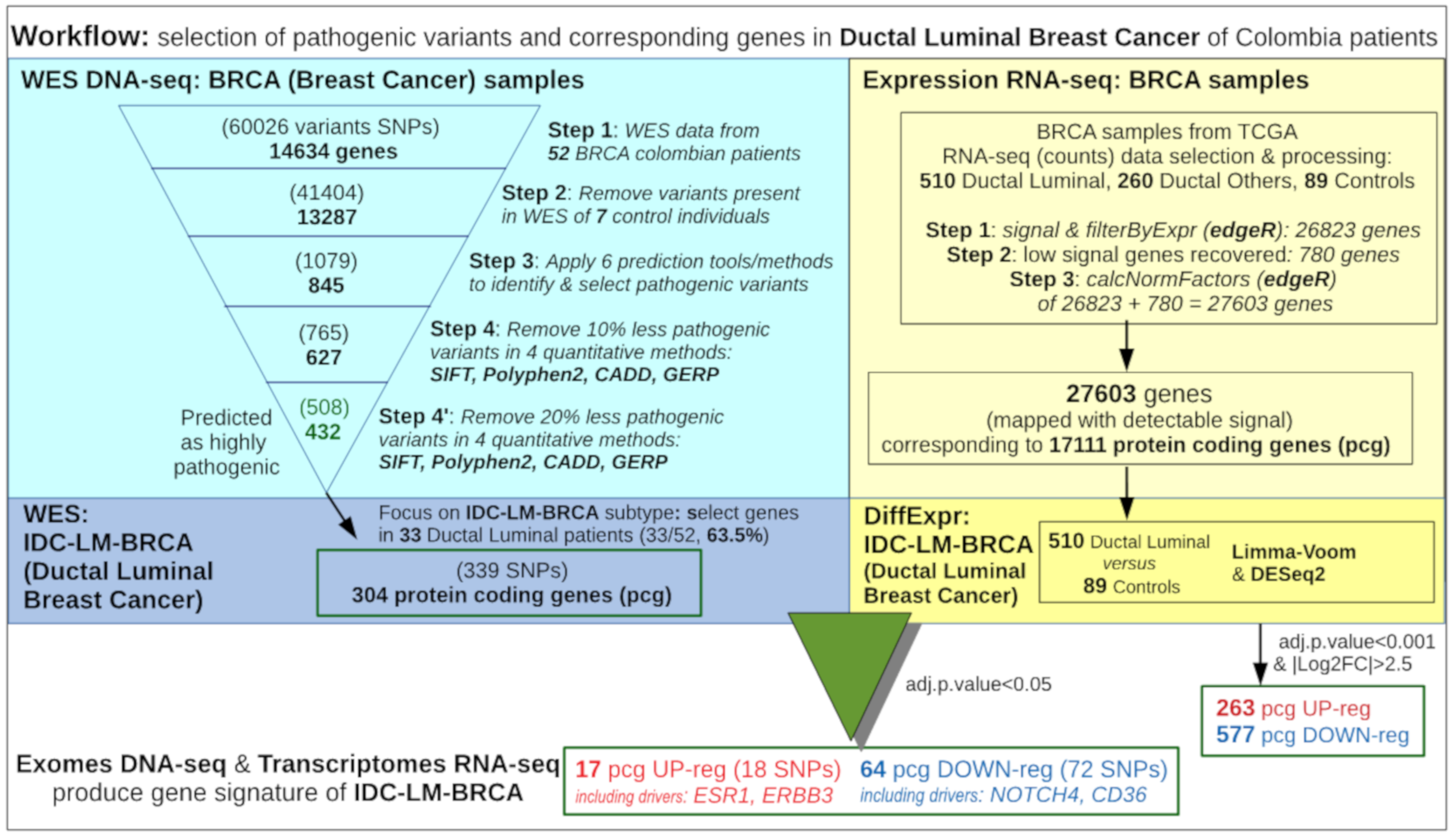 Biomolecules 10 00698 g001 Biomolecules 10 00698 g001
