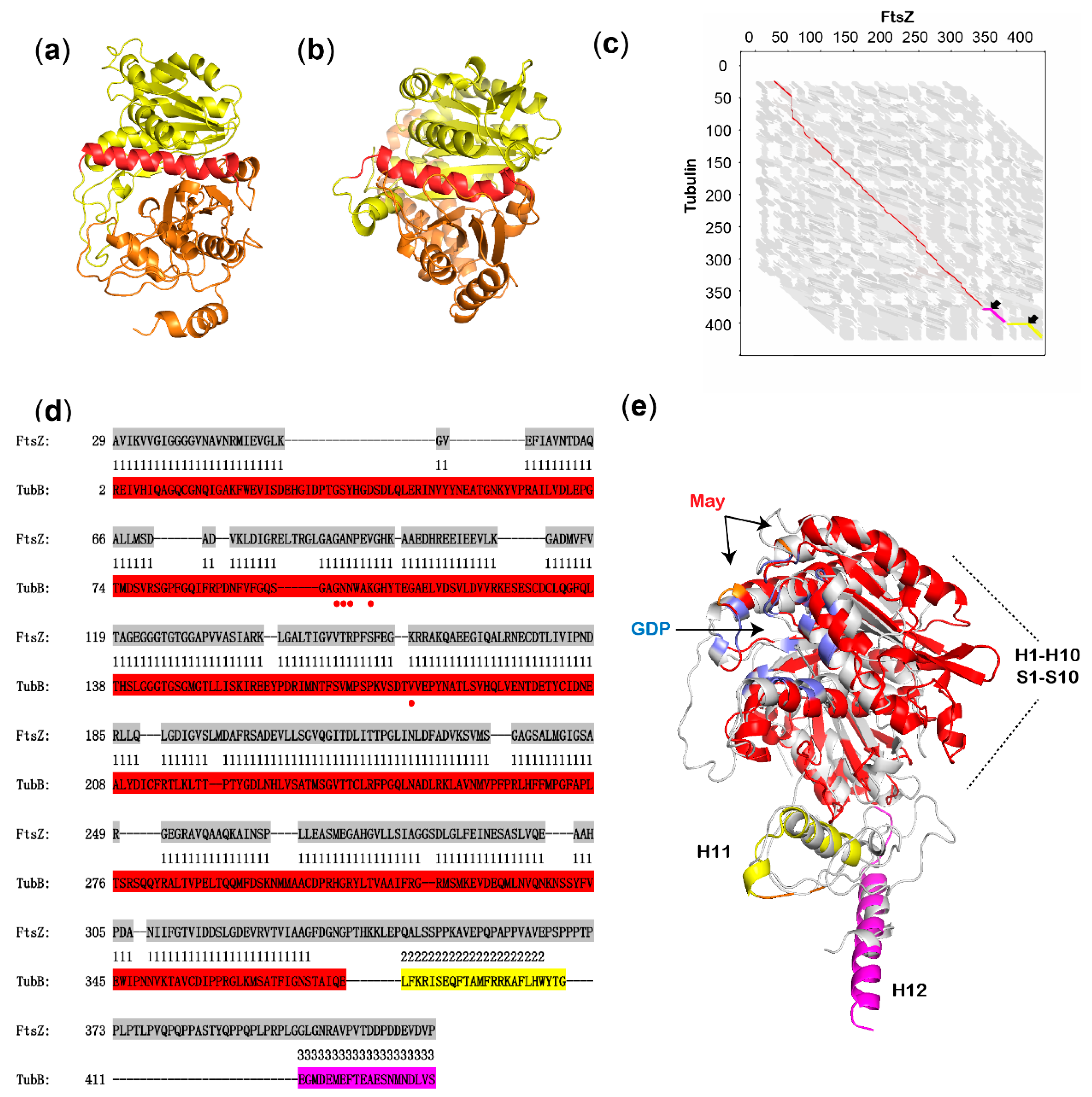Biomolecules 10 00699 g002