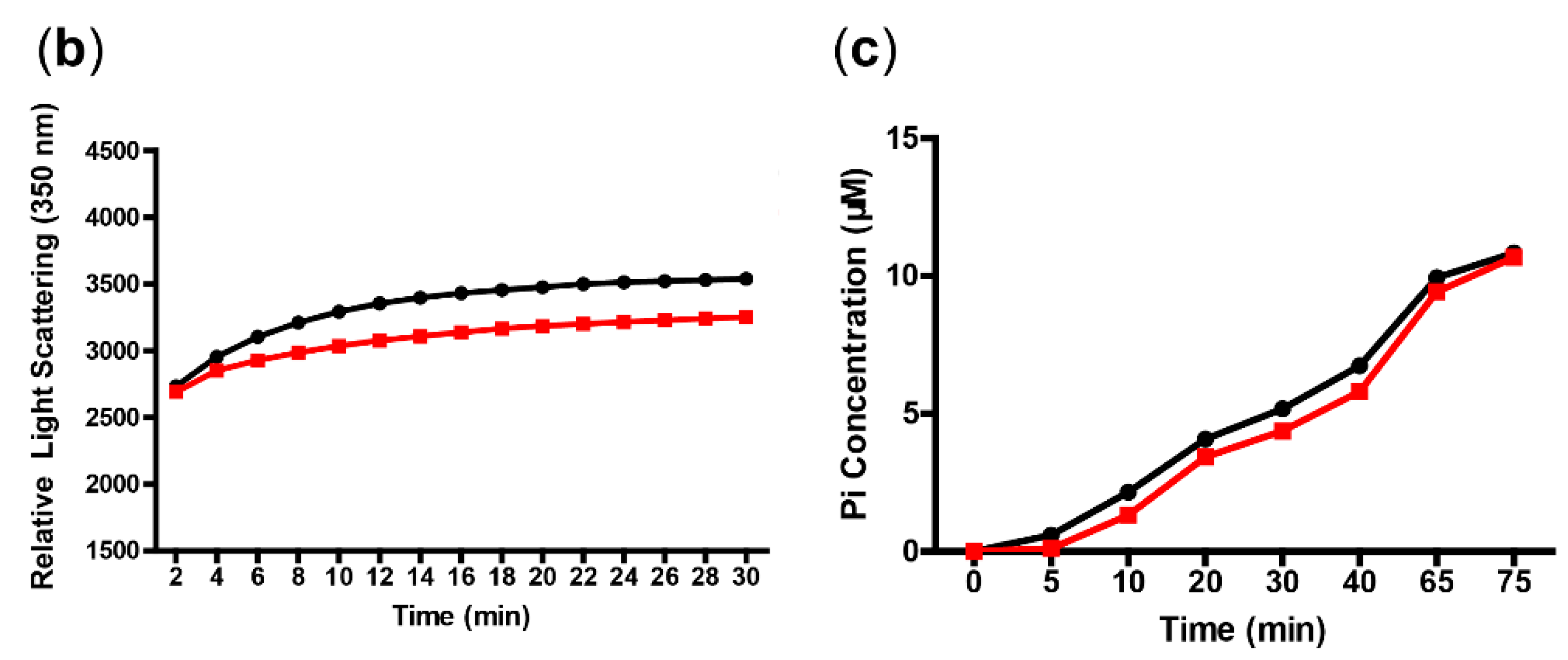 Biomolecules 10 00699 g003b