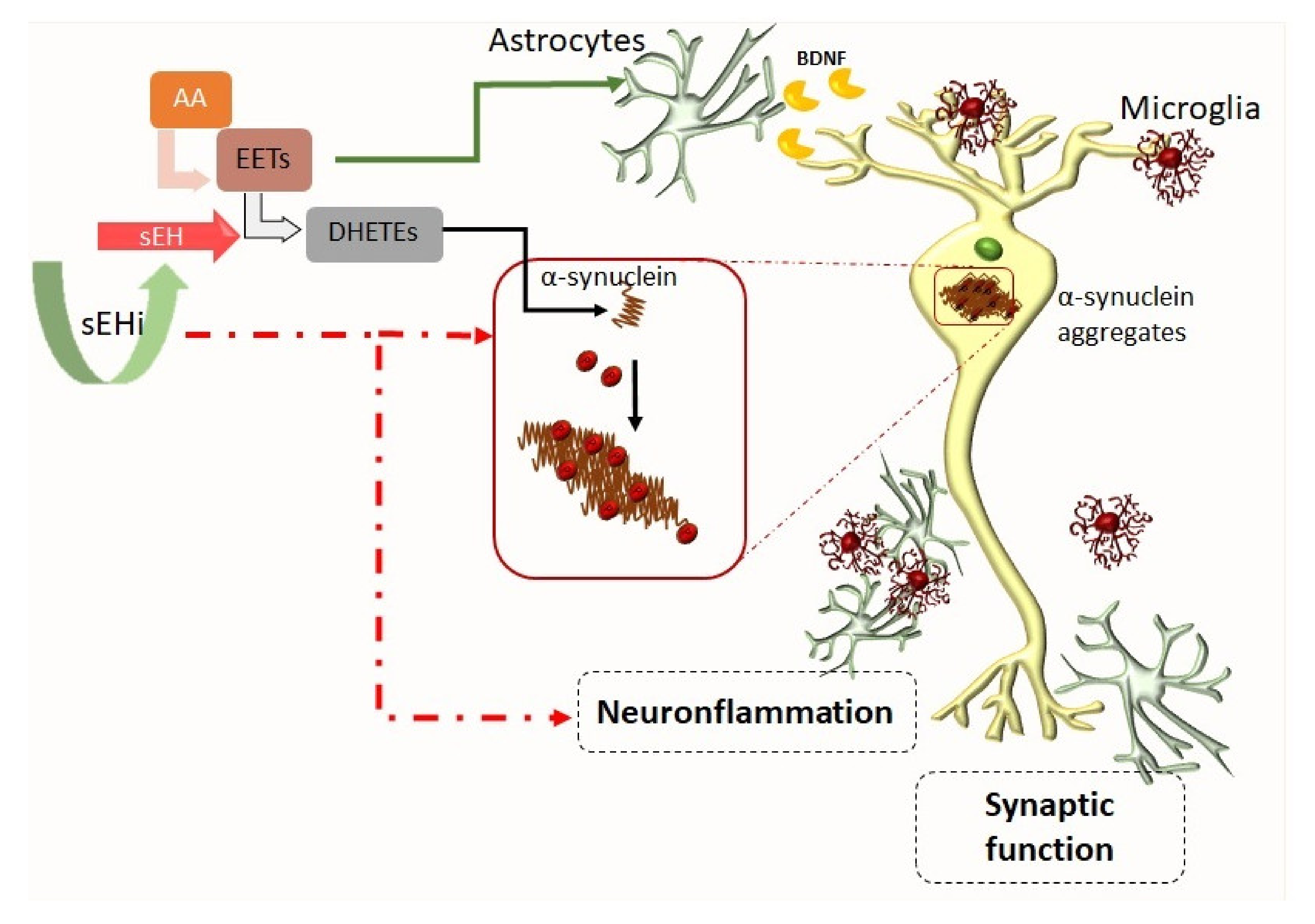 Biomolecules 10 00703 g002 Biomolecules 10 00703 g002