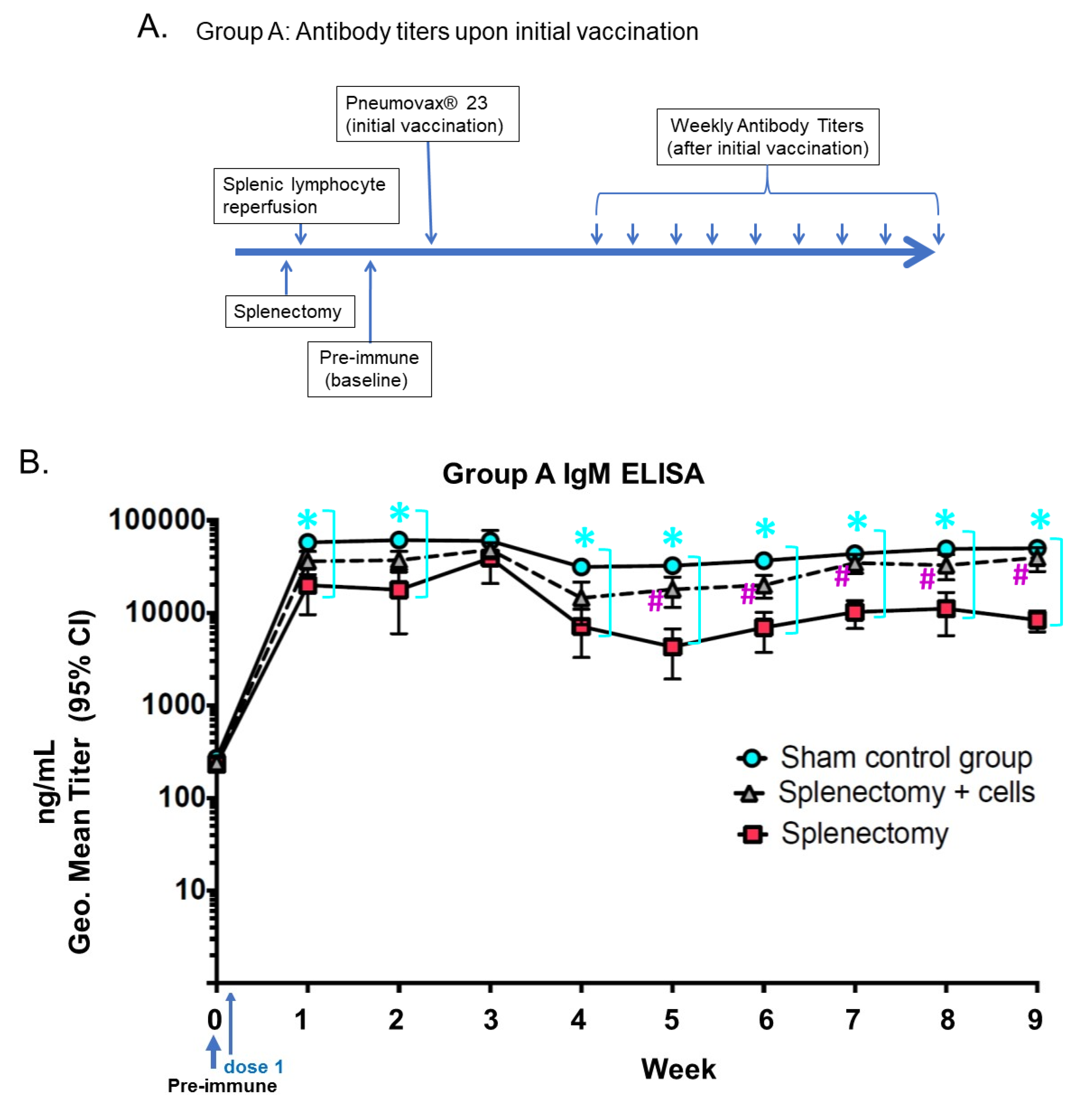 Biomolecules 10 00704 g002