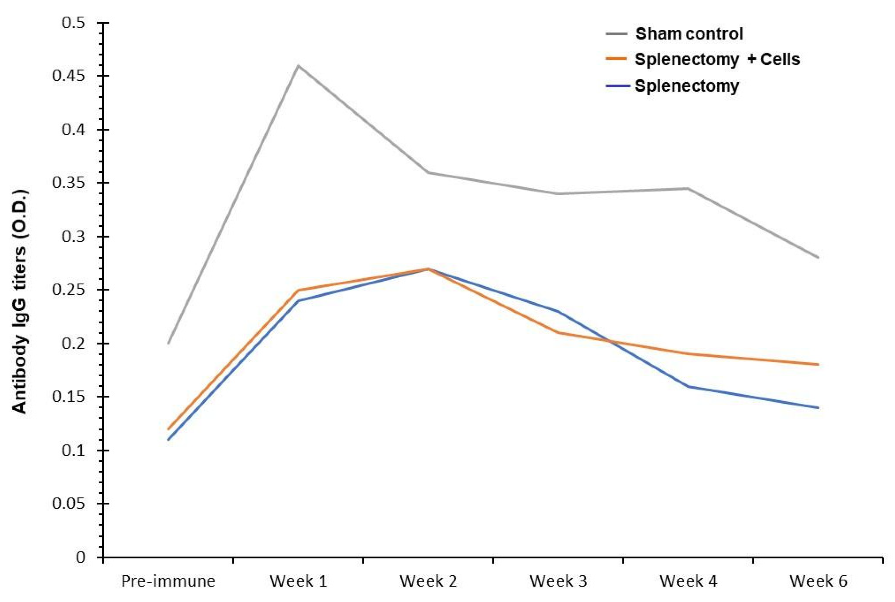 Biomolecules 10 00704 g004