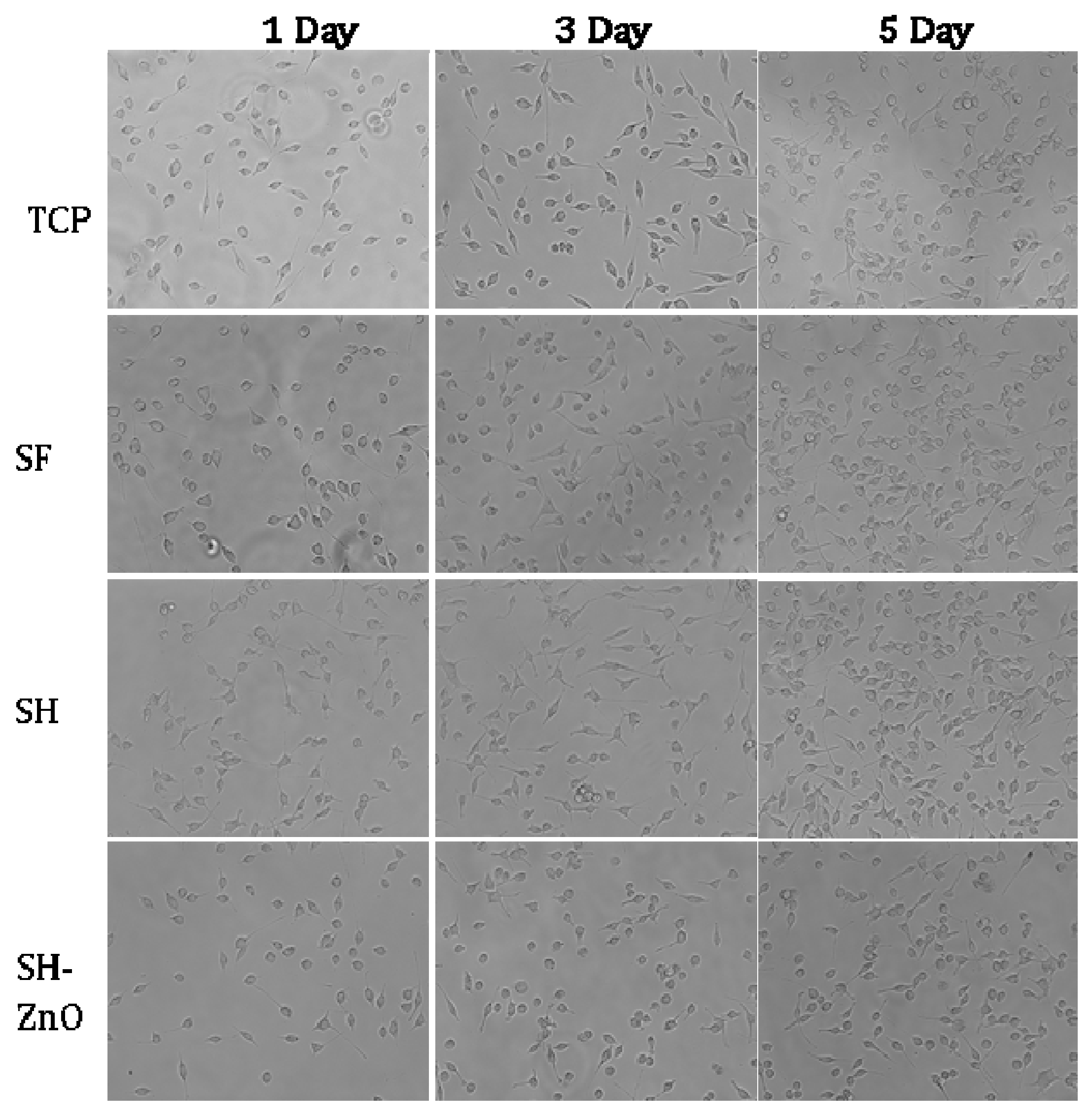 Biomolecules 10 00710 g008