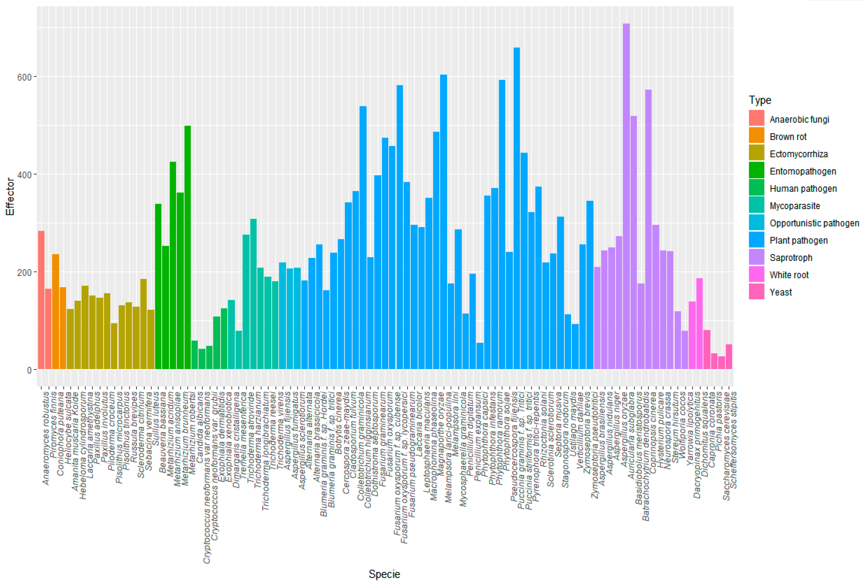 Biomolecules 10 00712 g004 Biomolecules 10 00712 g004