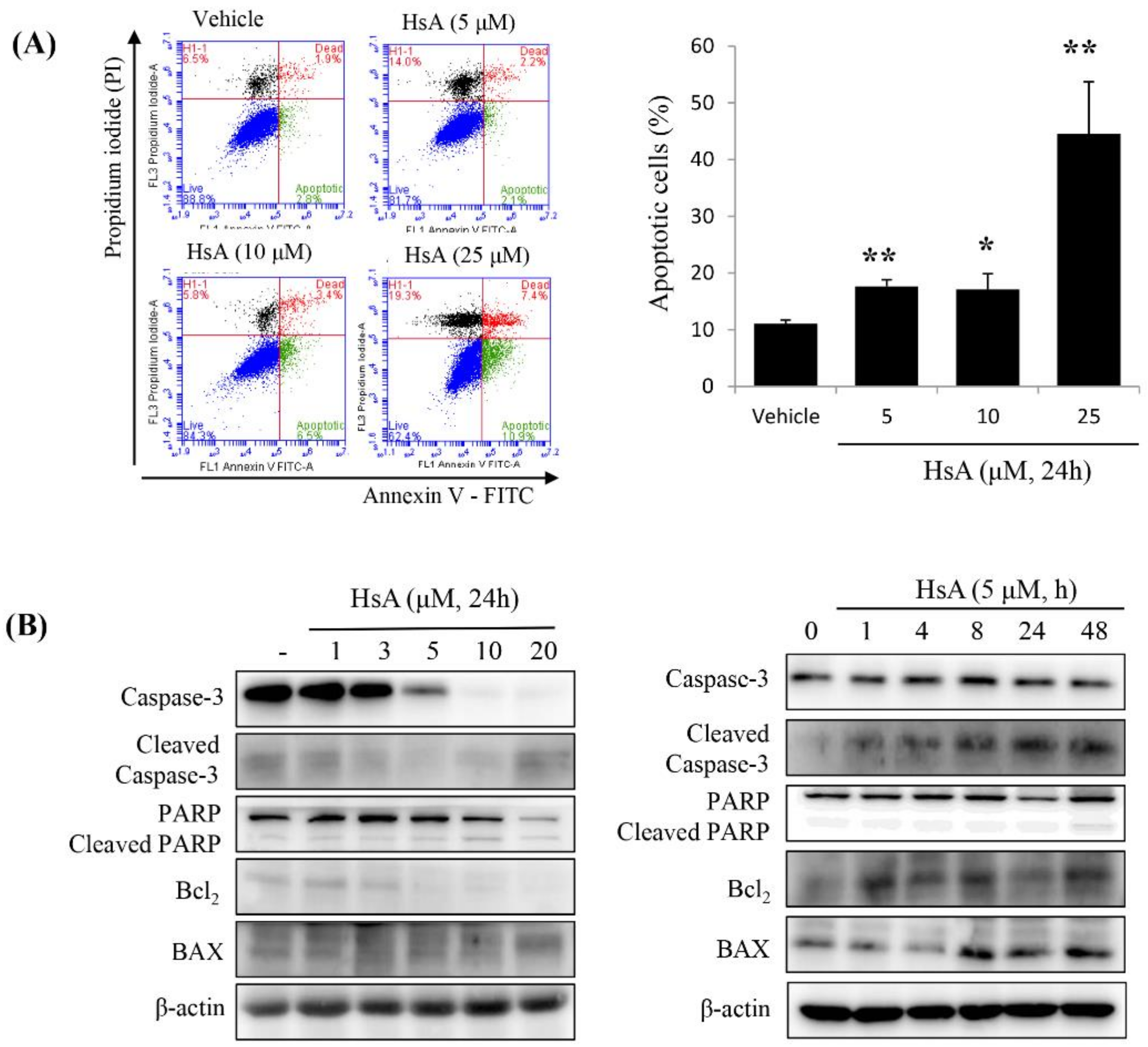 Biomolecules 10 00713 g003a Biomolecules 10 00713 g003a