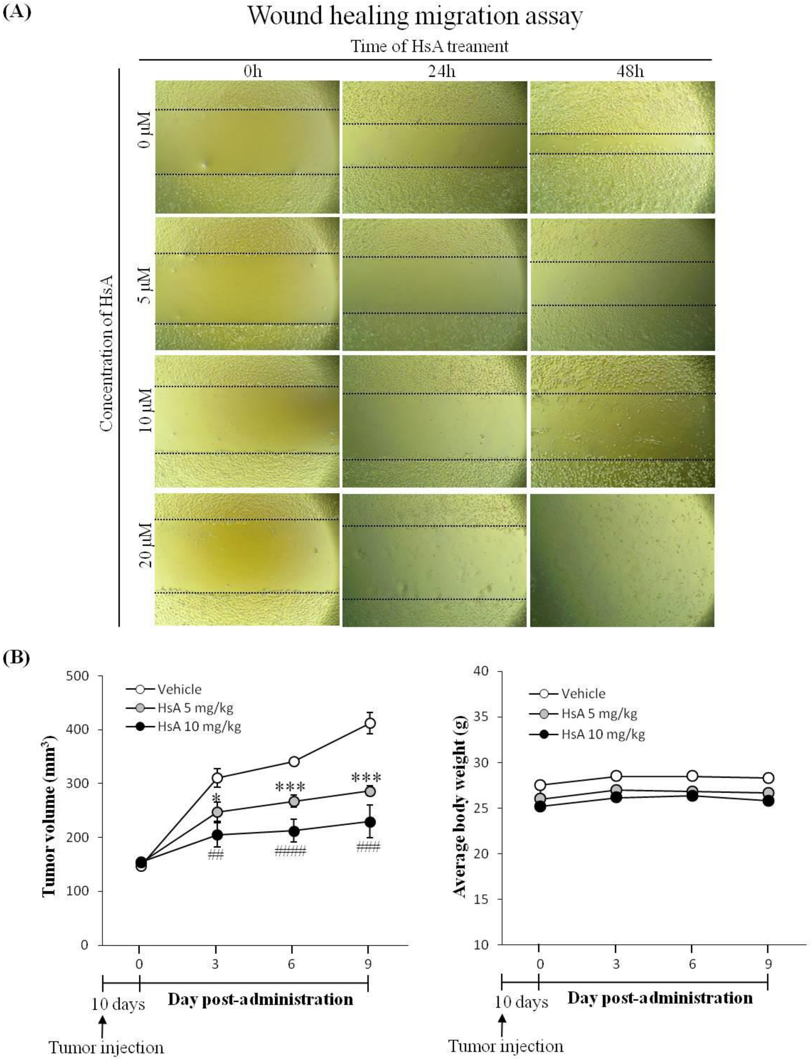 Biomolecules 10 00713 g005 Biomolecules 10 00713 g005