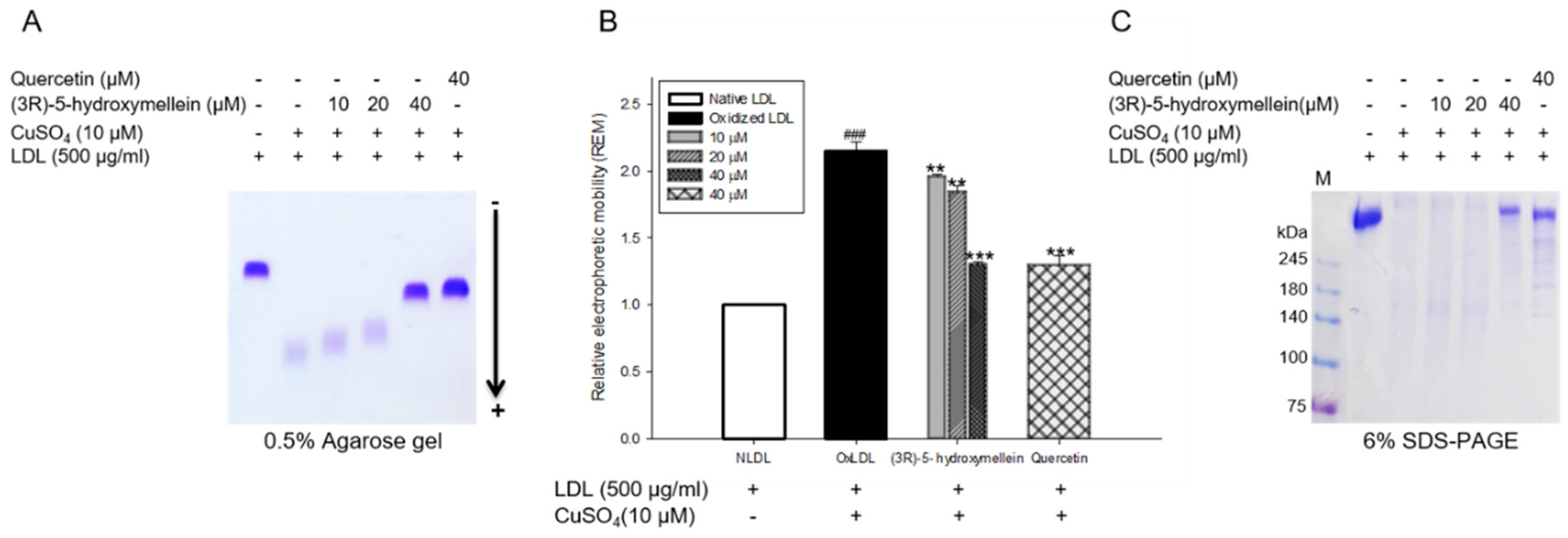 Biomolecules 10 00715 g003 Biomolecules 10 00715 g003