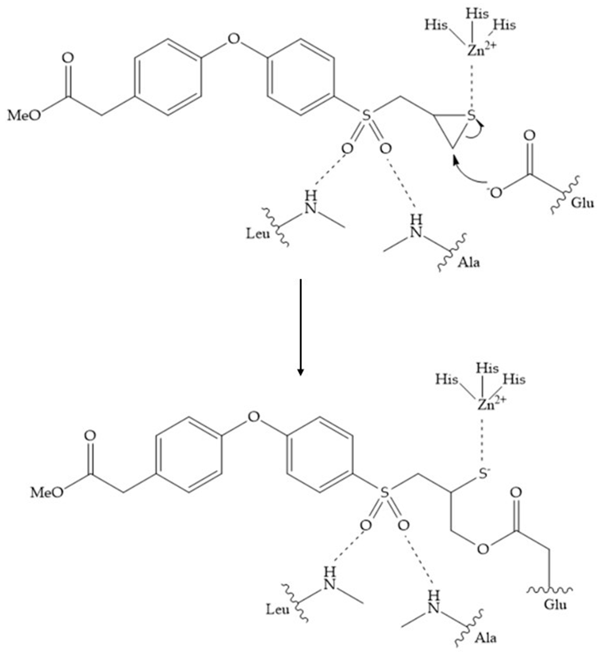 Biomolecules 10 00717 g027 Biomolecules 10 00717 g027