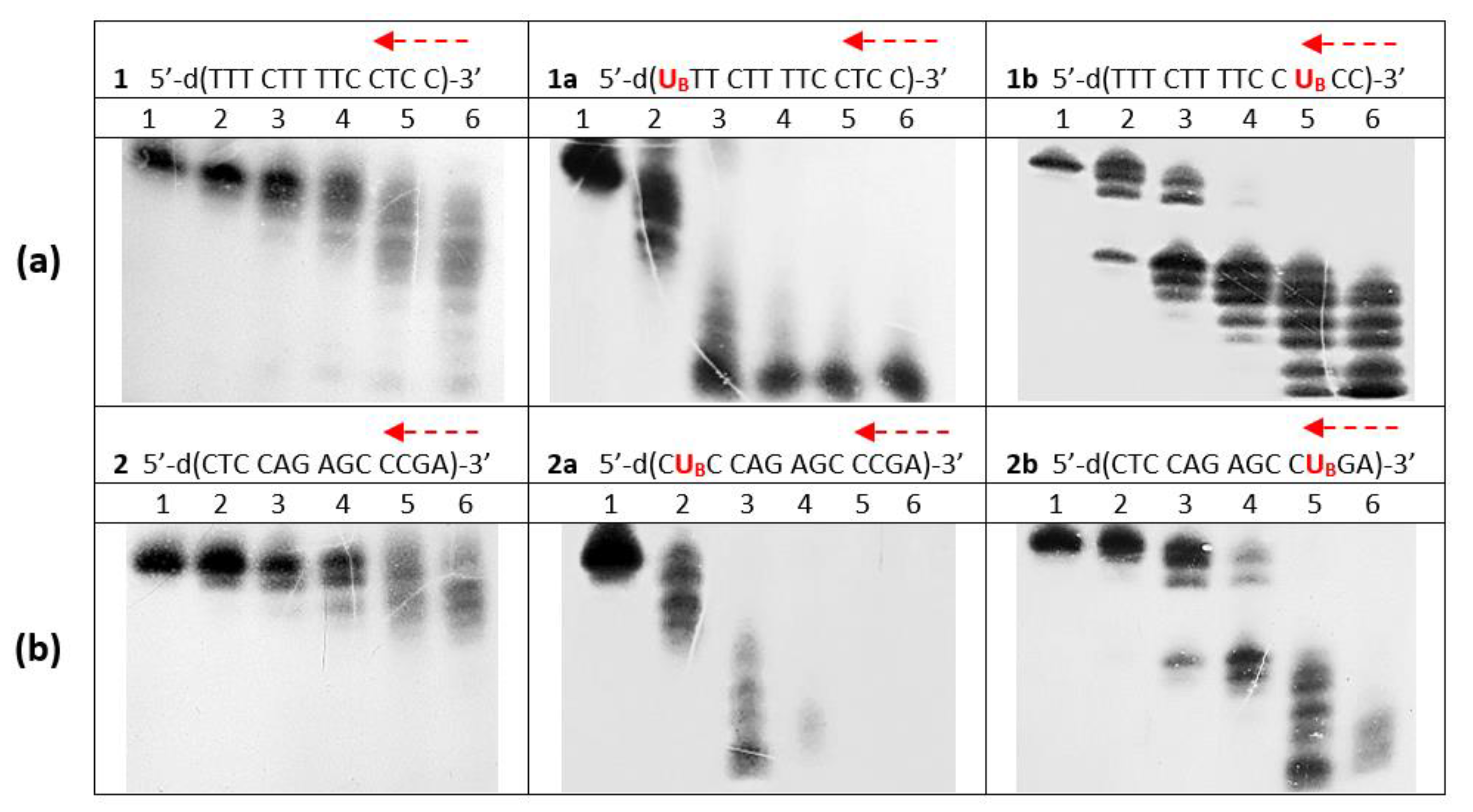 Biomolecules 10 00718 g002 Biomolecules 10 00718 g002
