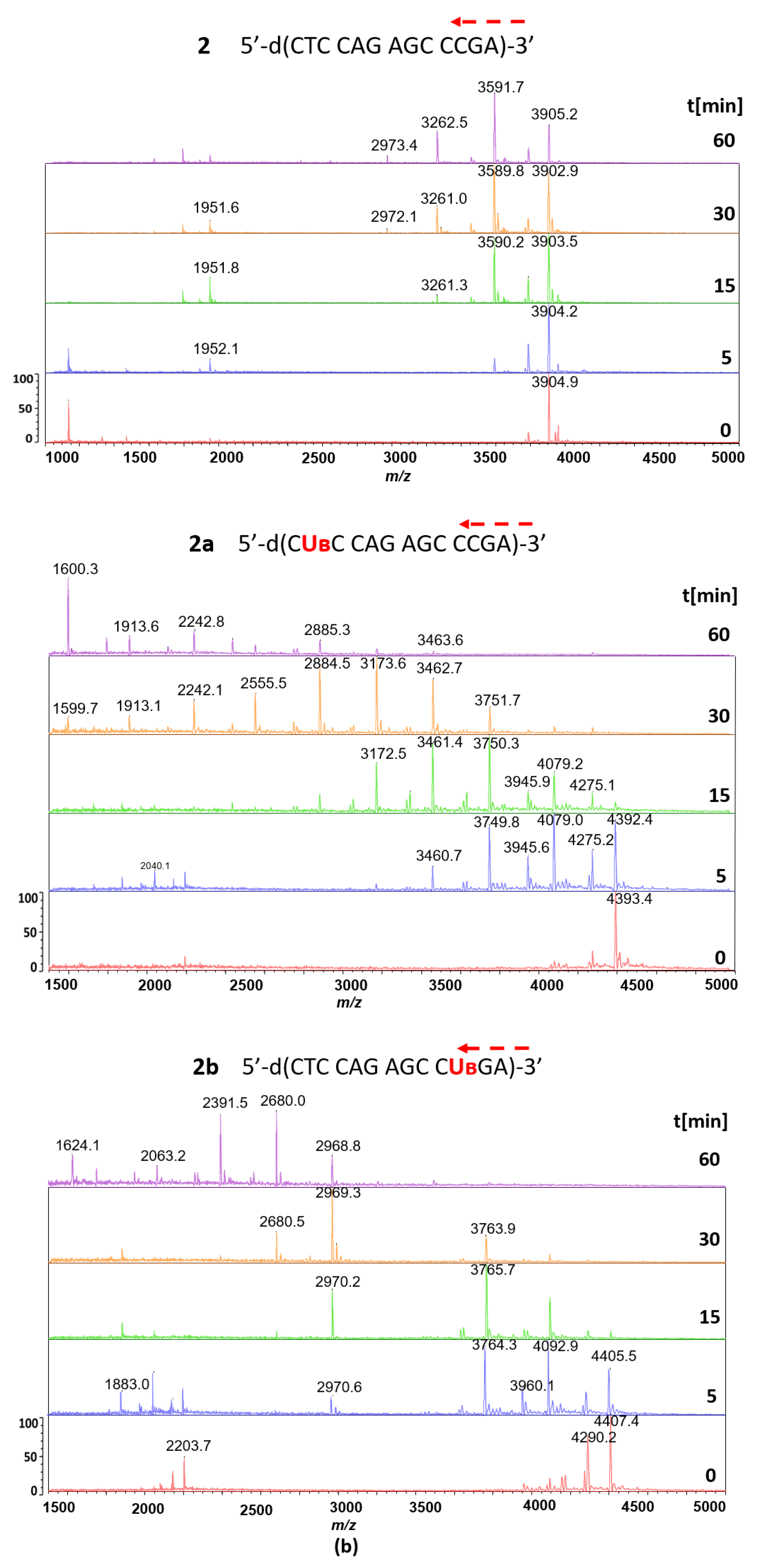 Biomolecules 10 00718 g003b Biomolecules 10 00718 g003b