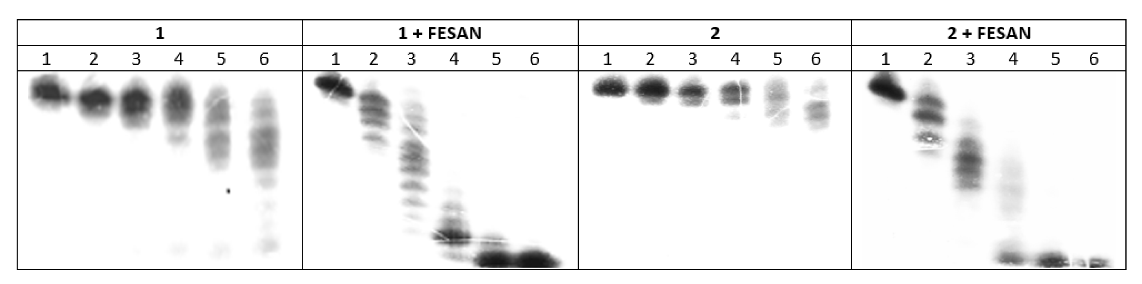 Biomolecules 10 00718 g007 Biomolecules 10 00718 g007