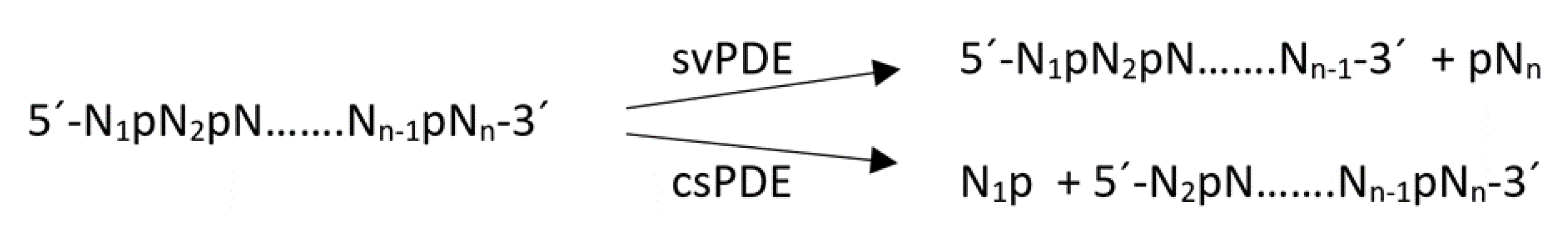 Biomolecules 10 00718 sch001 Biomolecules 10 00718 sch001