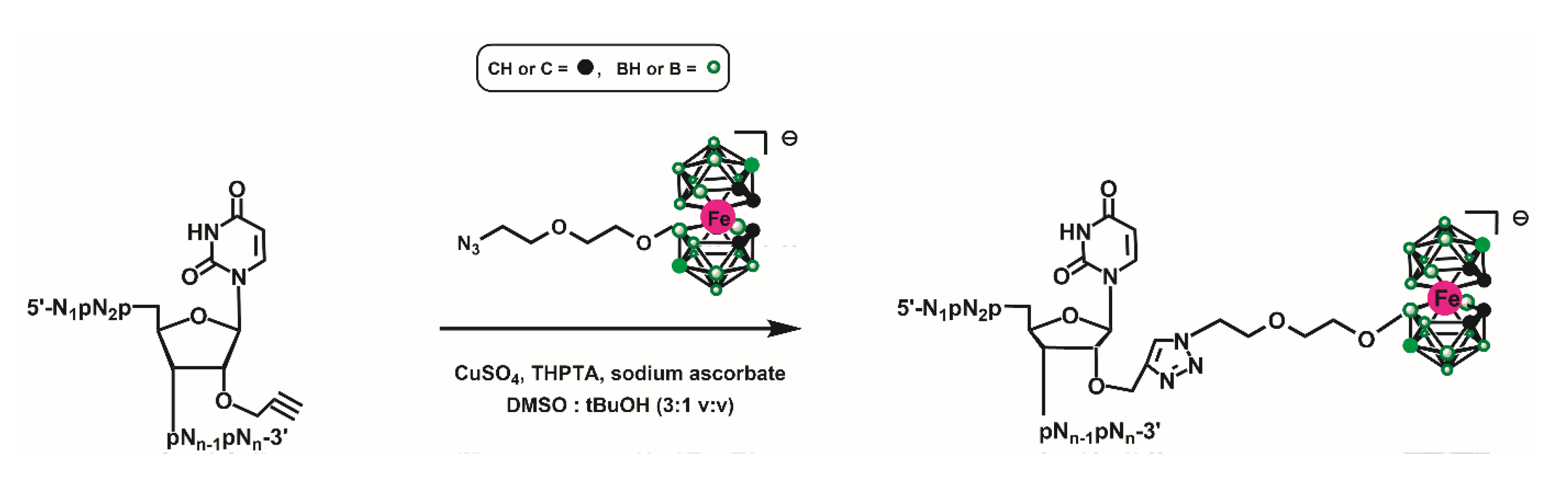 Biomolecules 10 00718 sch002 Biomolecules 10 00718 sch002