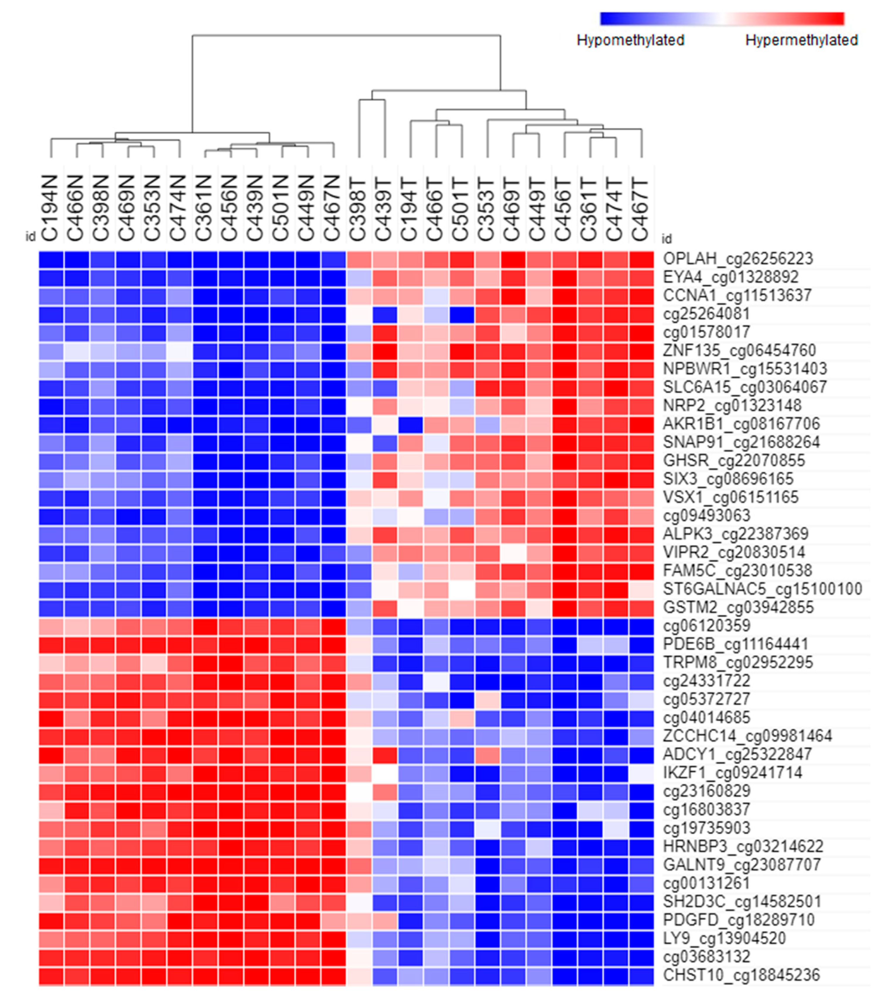 Biomolecules 10 00719 g002 Biomolecules 10 00719 g002
