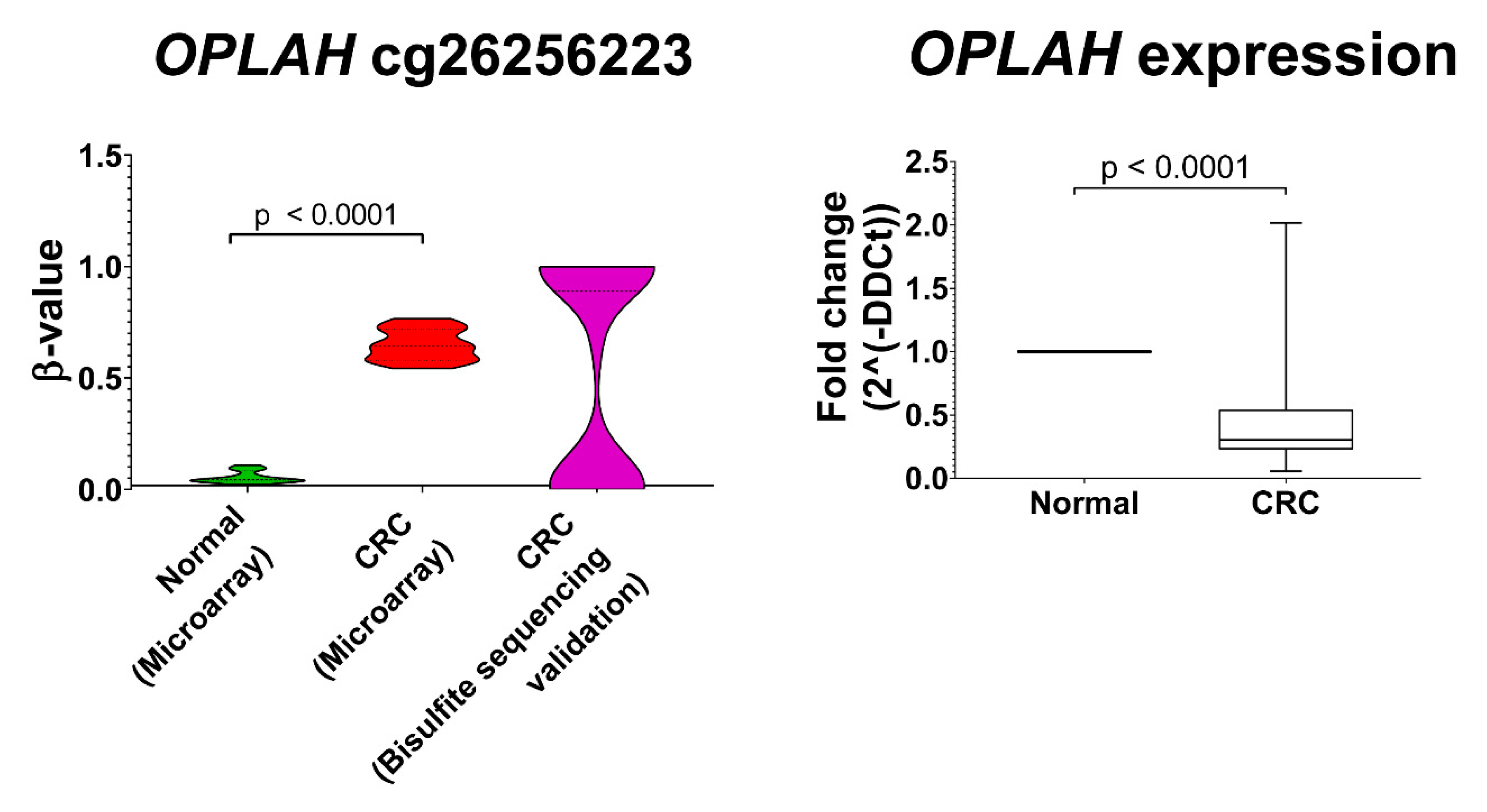Biomolecules 10 00719 g006 Biomolecules 10 00719 g006