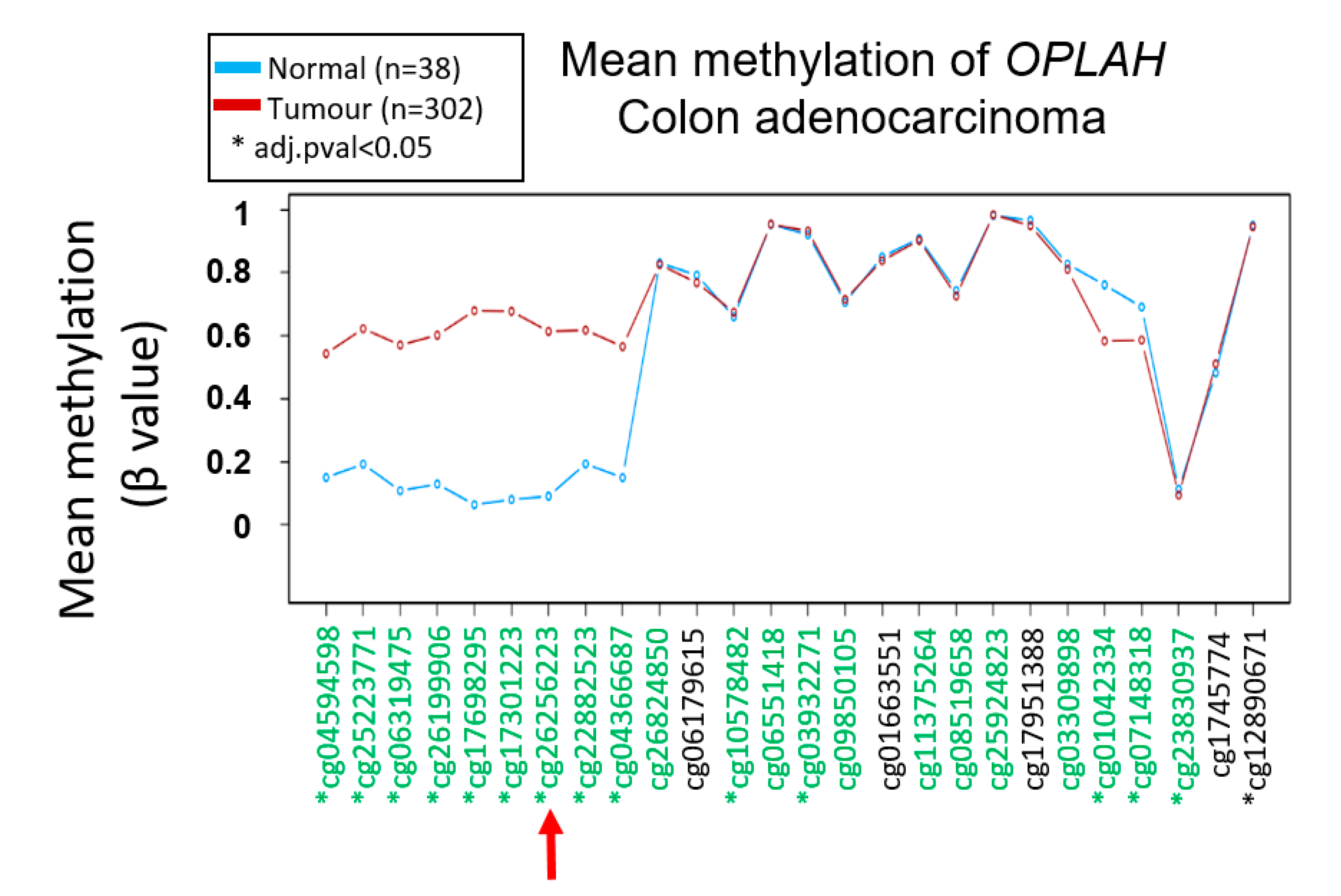 Biomolecules 10 00719 g007 Biomolecules 10 00719 g007