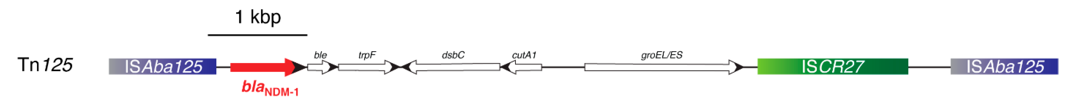 Biomolecules 10 00720 g003 Biomolecules 10 00720 g003
