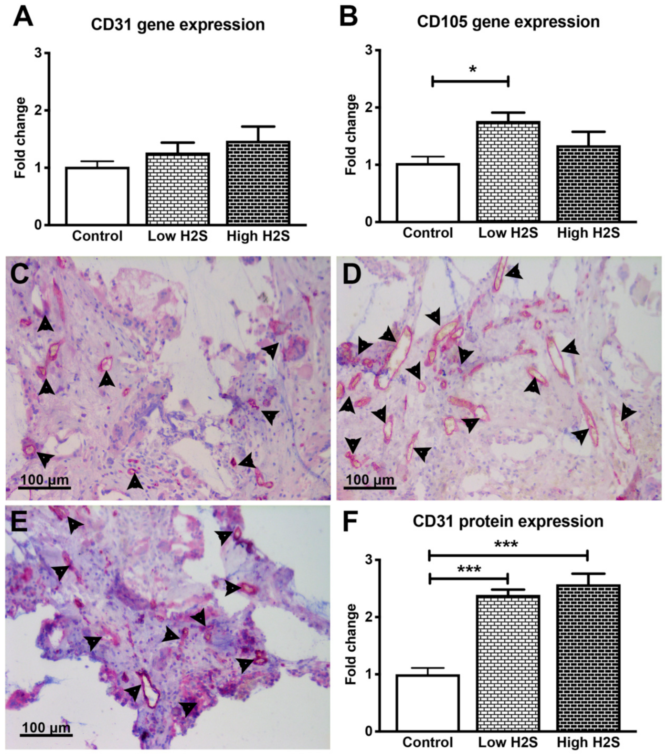 Biomolecules 10 00722 g001 Biomolecules 10 00722 g001