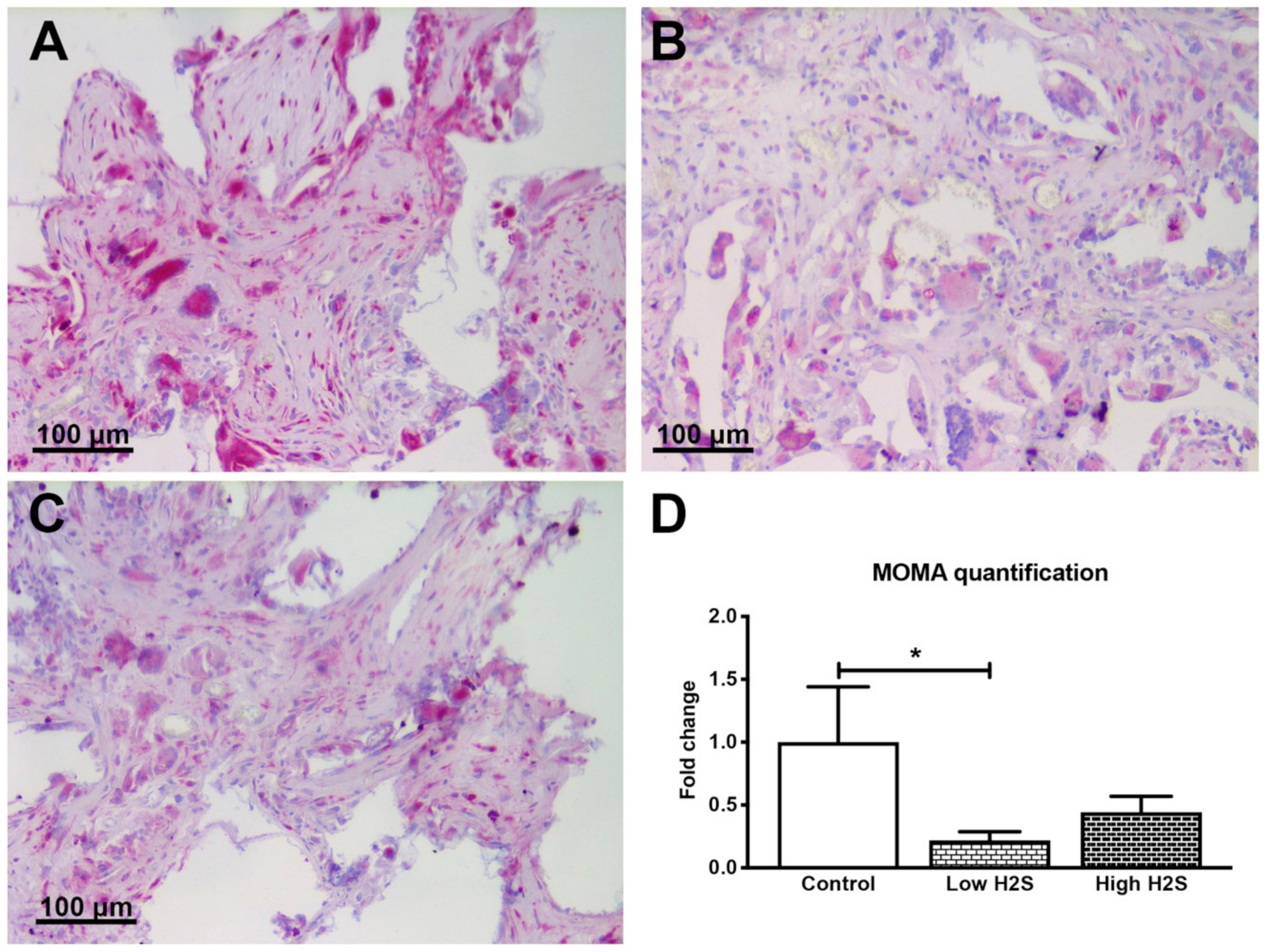 Biomolecules 10 00722 g004 Biomolecules 10 00722 g004