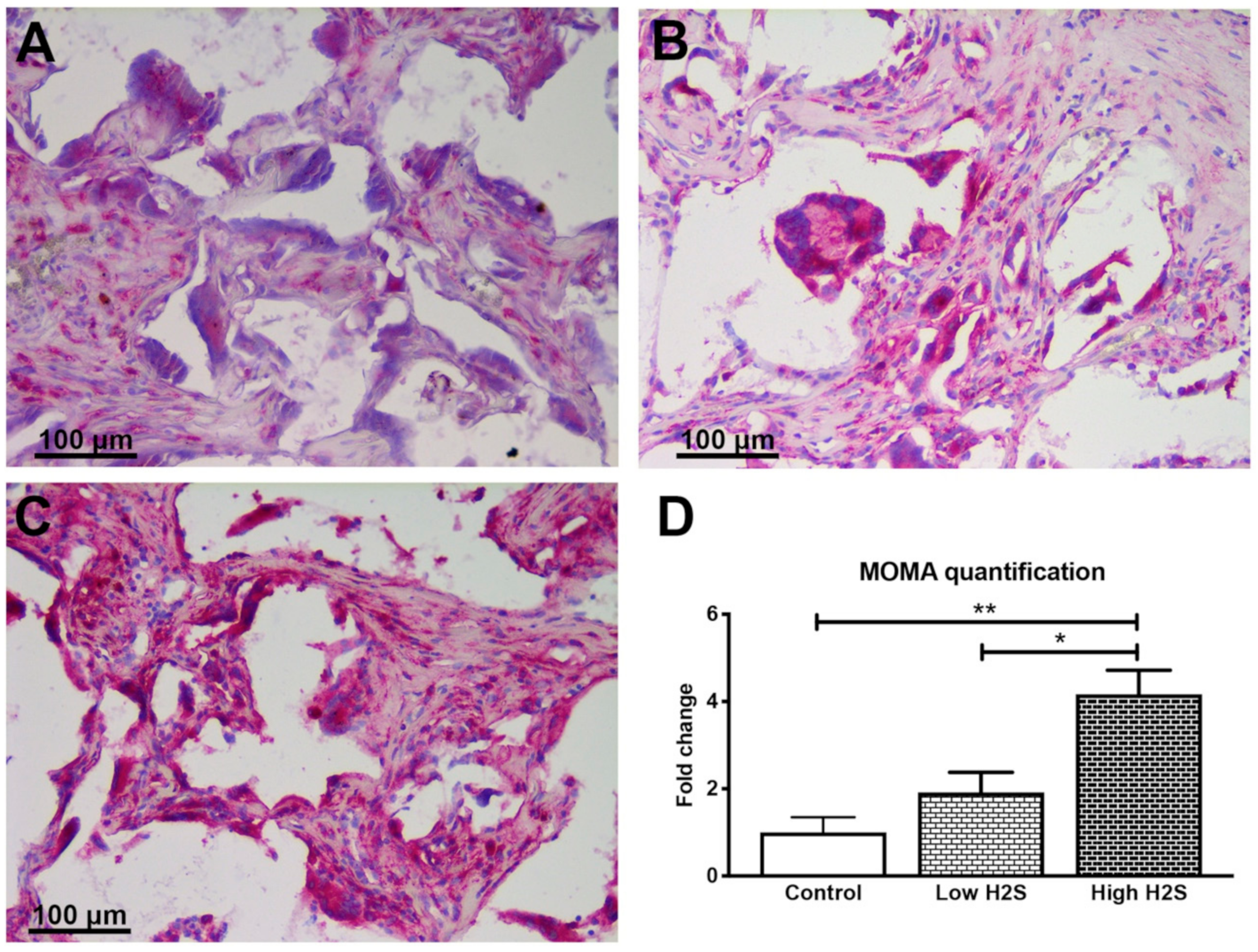 Biomolecules 10 00722 g006 Biomolecules 10 00722 g006
