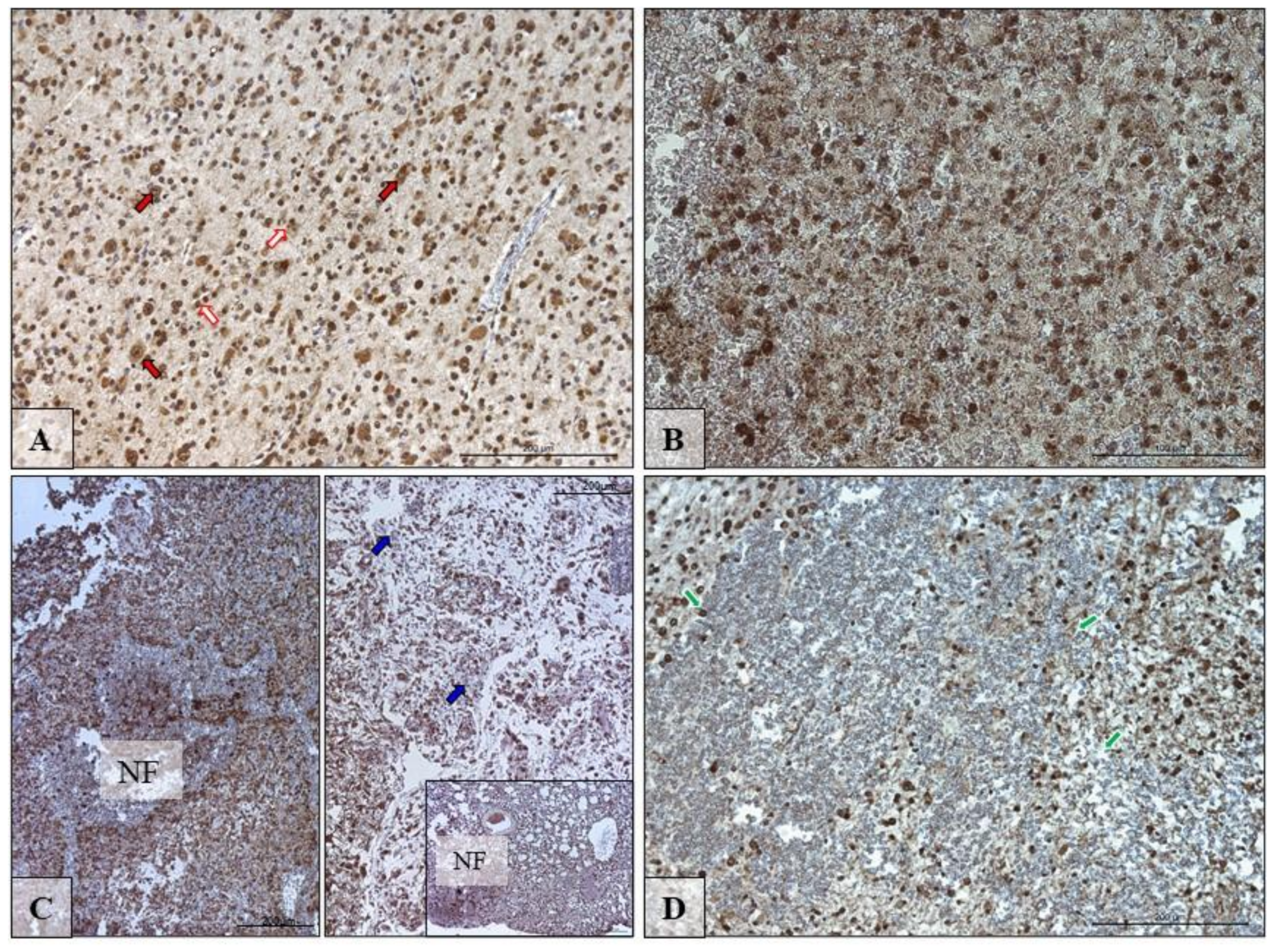 Biomolecules 10 00727 g005 Biomolecules 10 00727 g005