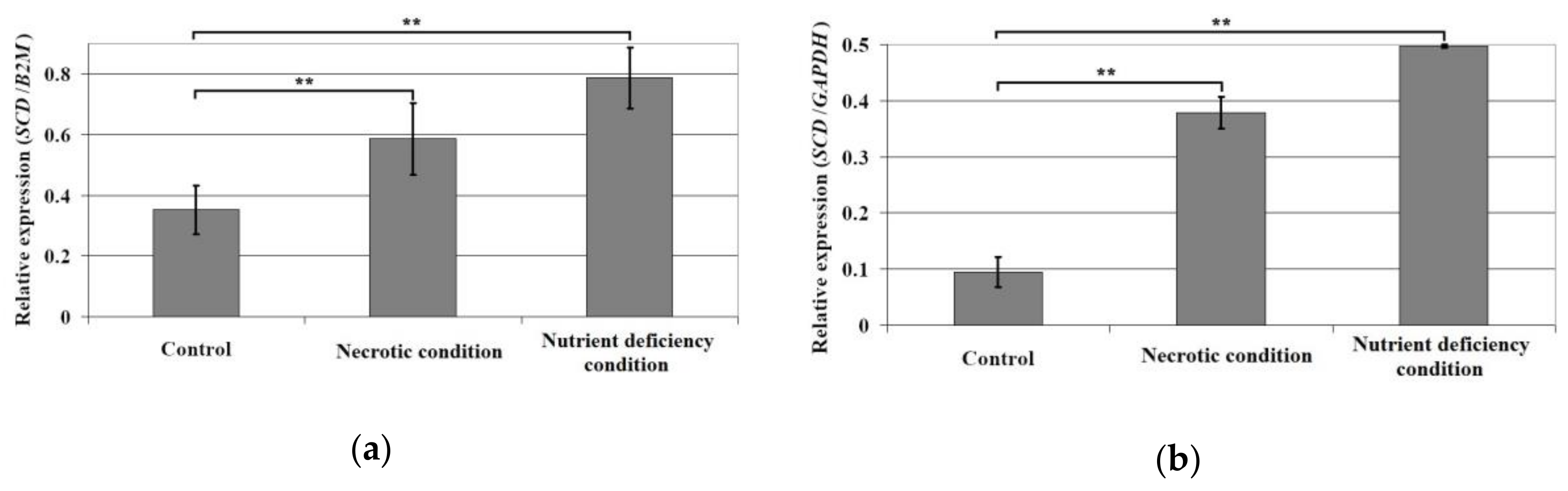 Biomolecules 10 00727 g007a Biomolecules 10 00727 g007a