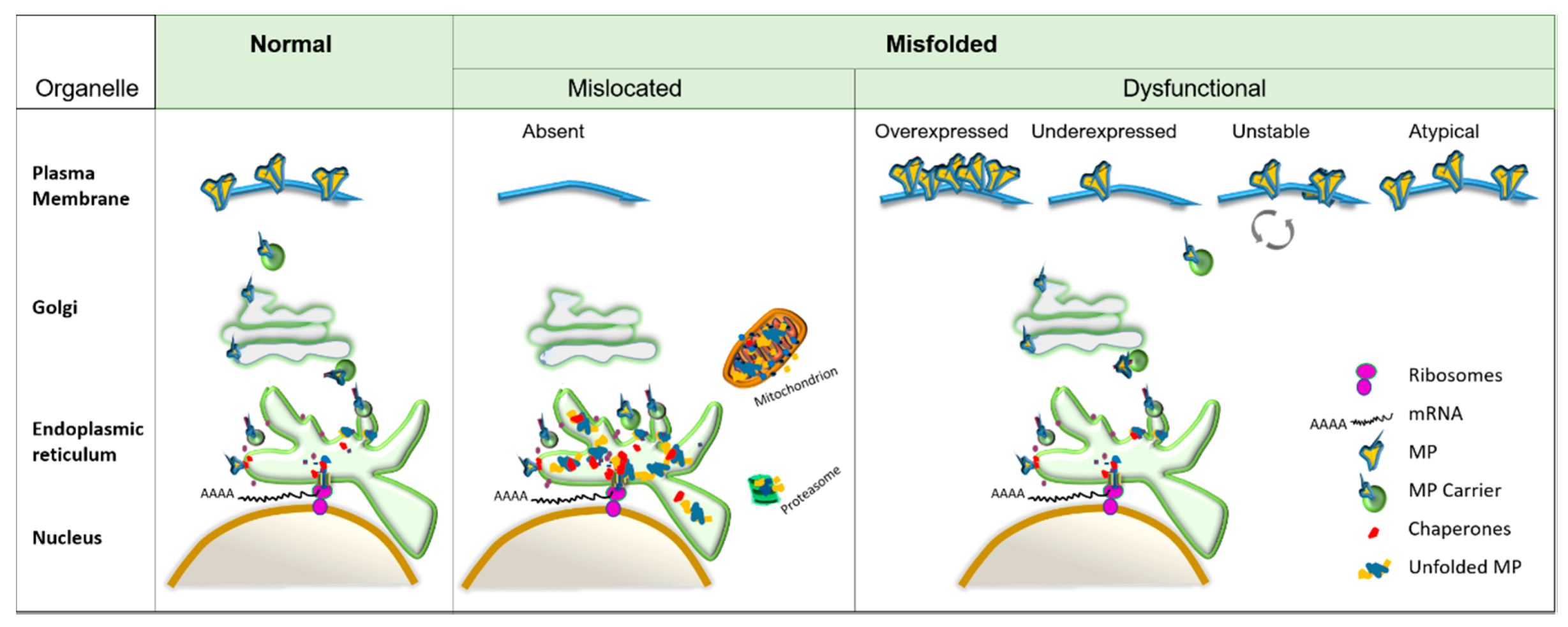 Biomolecules 10 00728 g002 Biomolecules 10 00728 g002