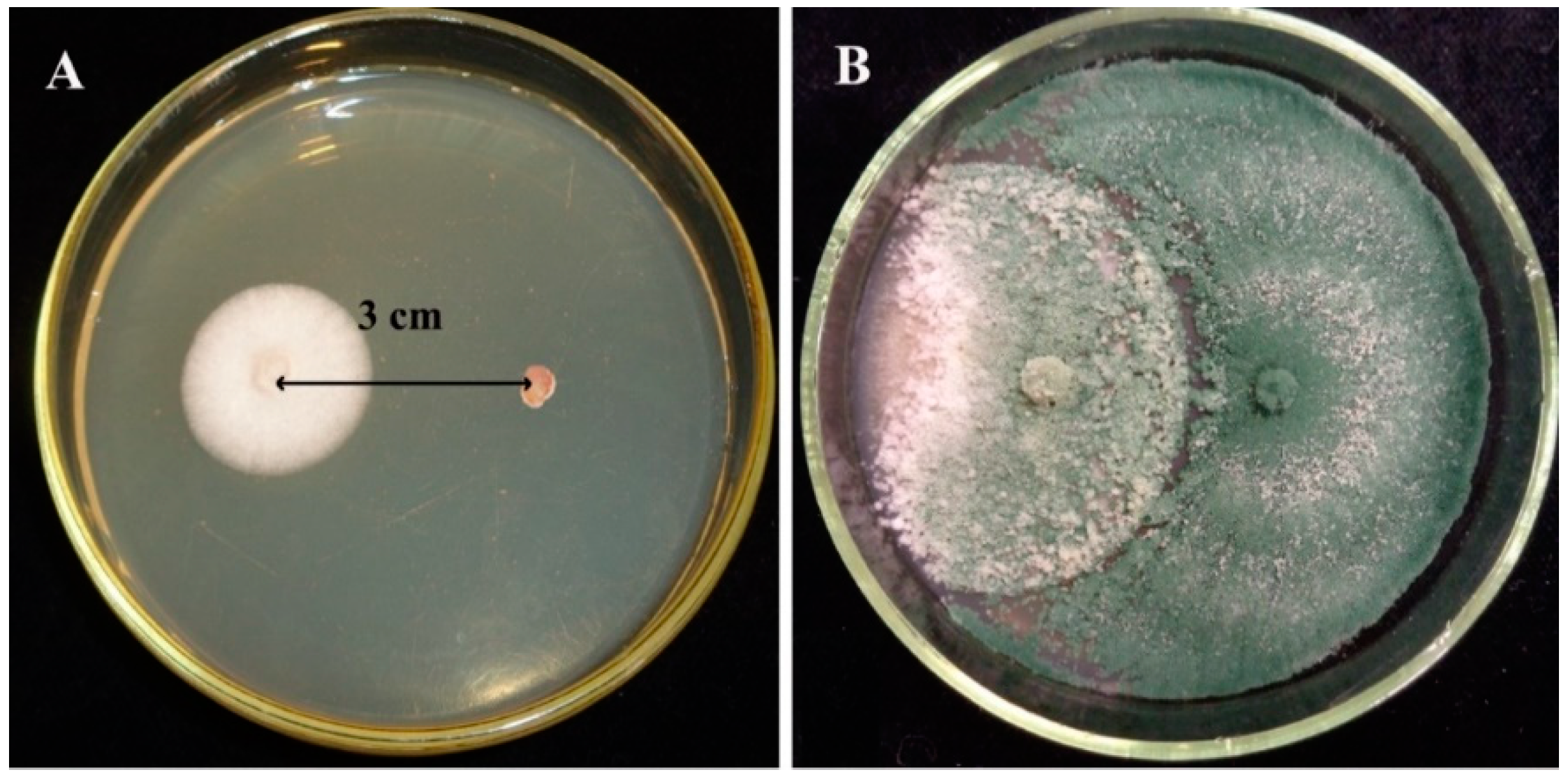 Biomolecules 10 00730 g001 Biomolecules 10 00730 g001
