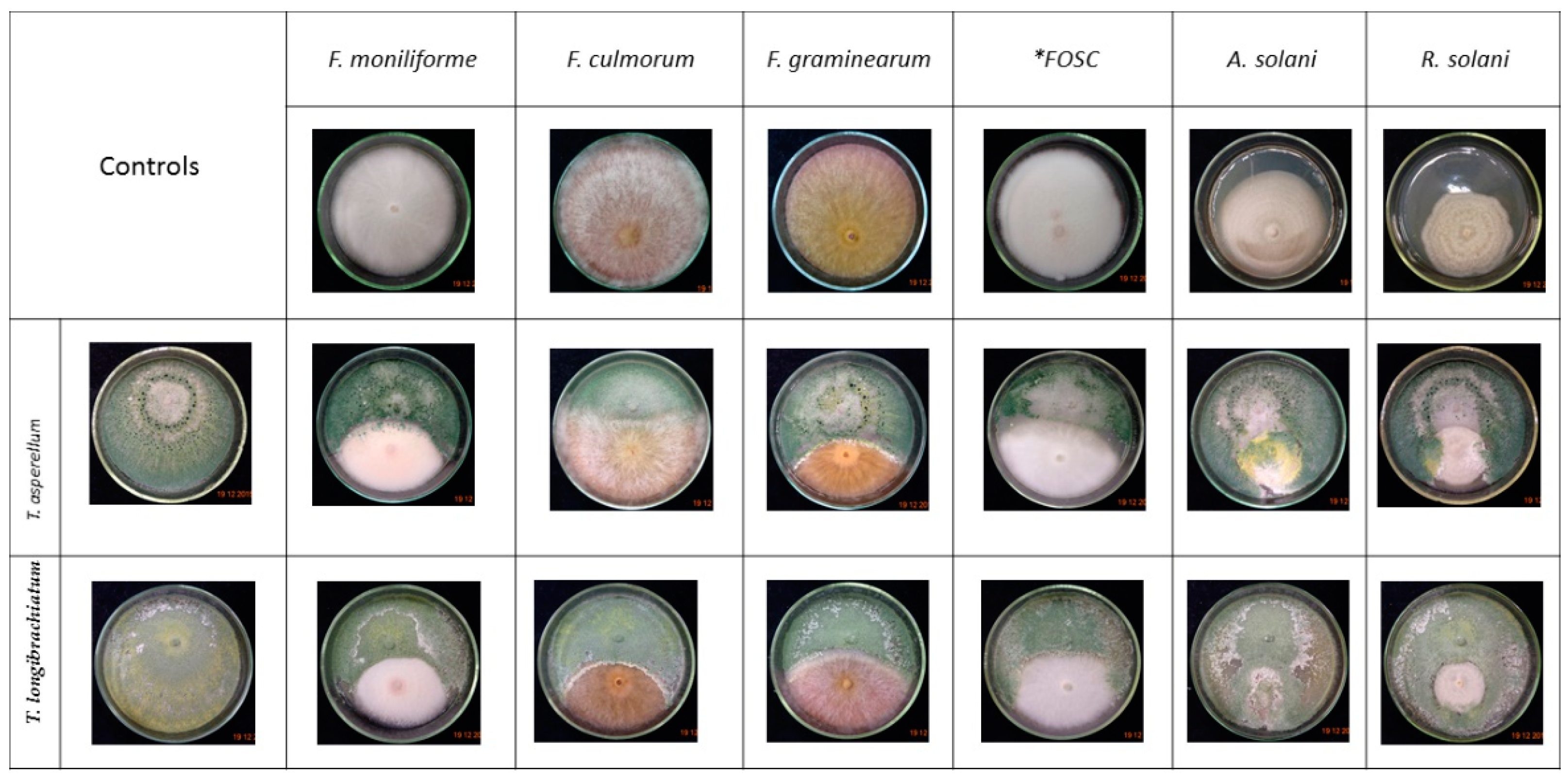 Biomolecules 10 00730 g003 Biomolecules 10 00730 g003