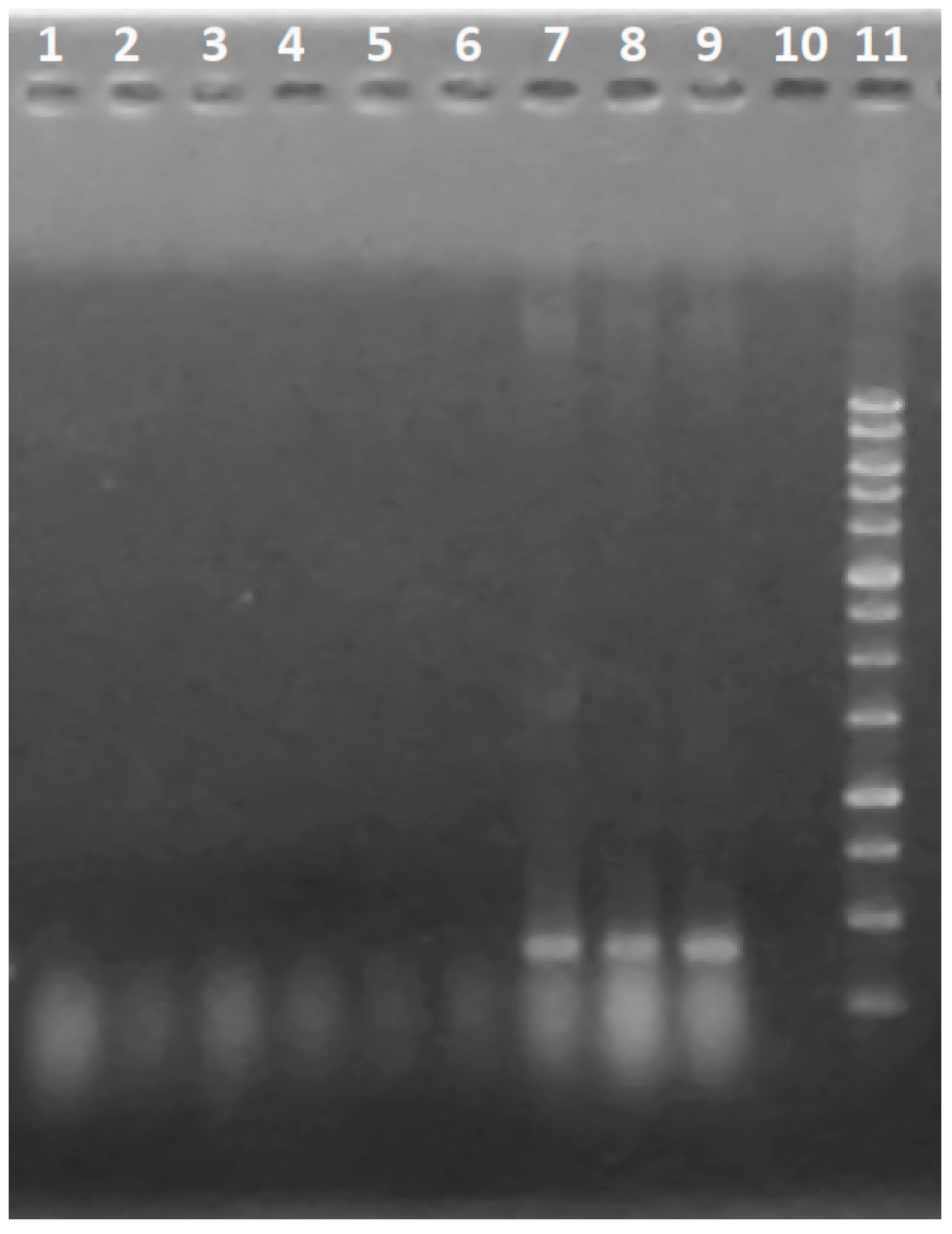 Biomolecules 10 00730 g009 Biomolecules 10 00730 g009