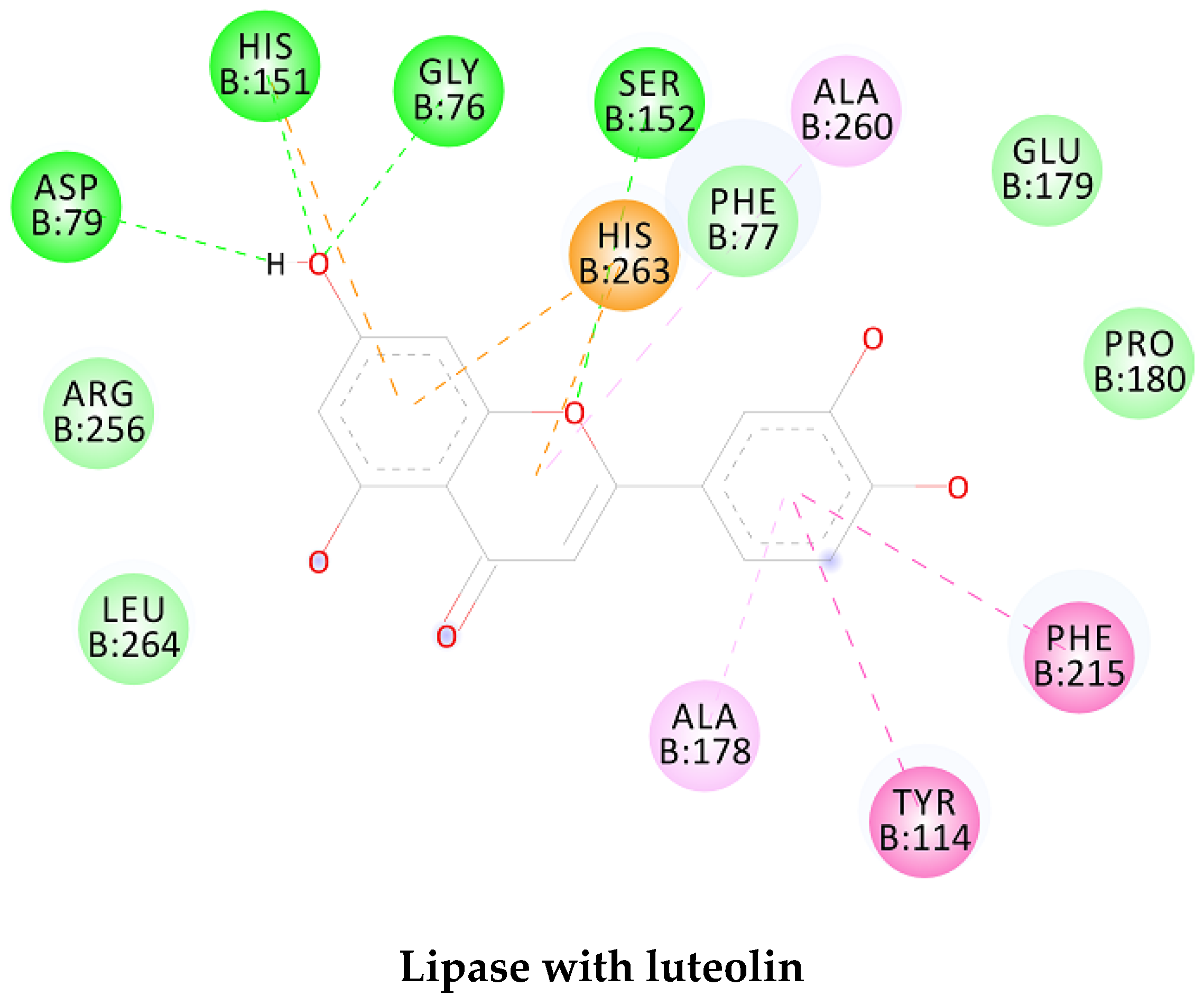 Biomolecules 10 00731 g004a