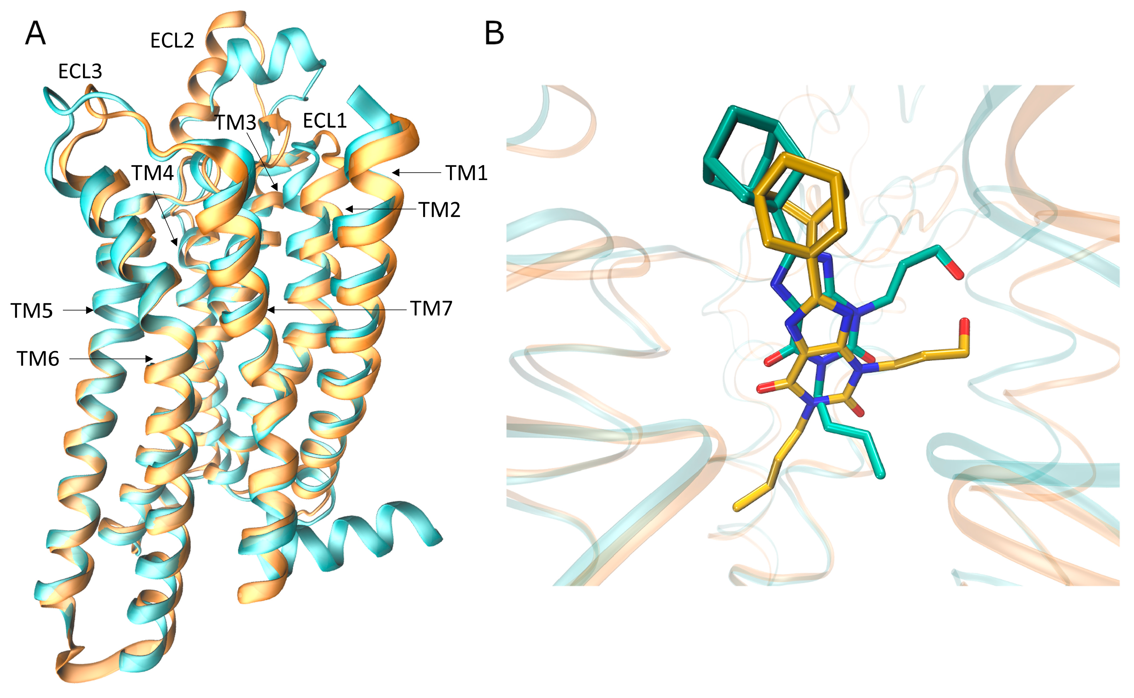 Biomolecules 10 00732 g001