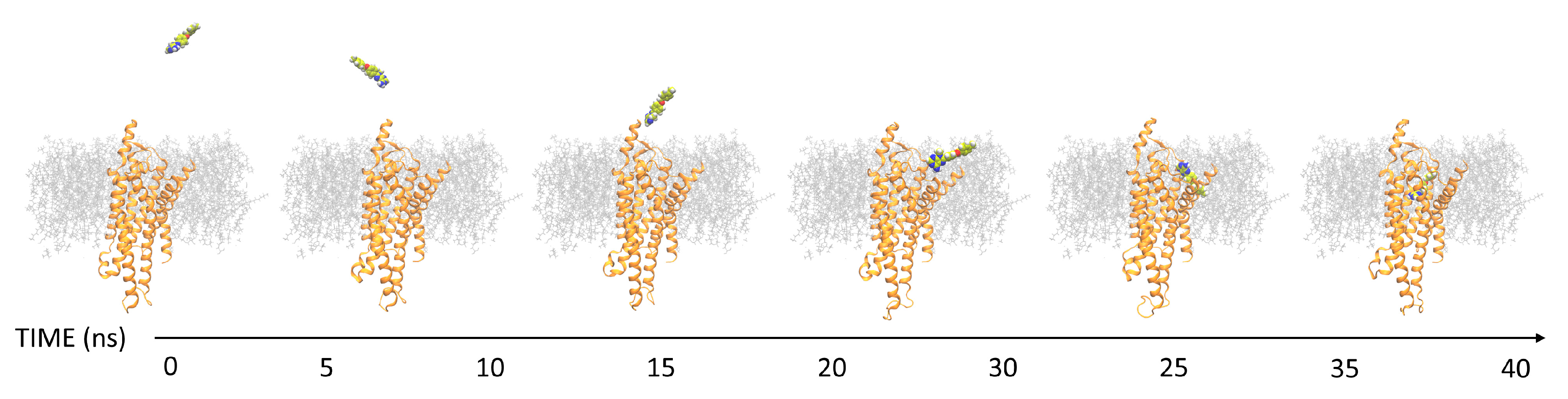 Biomolecules 10 00732 g003