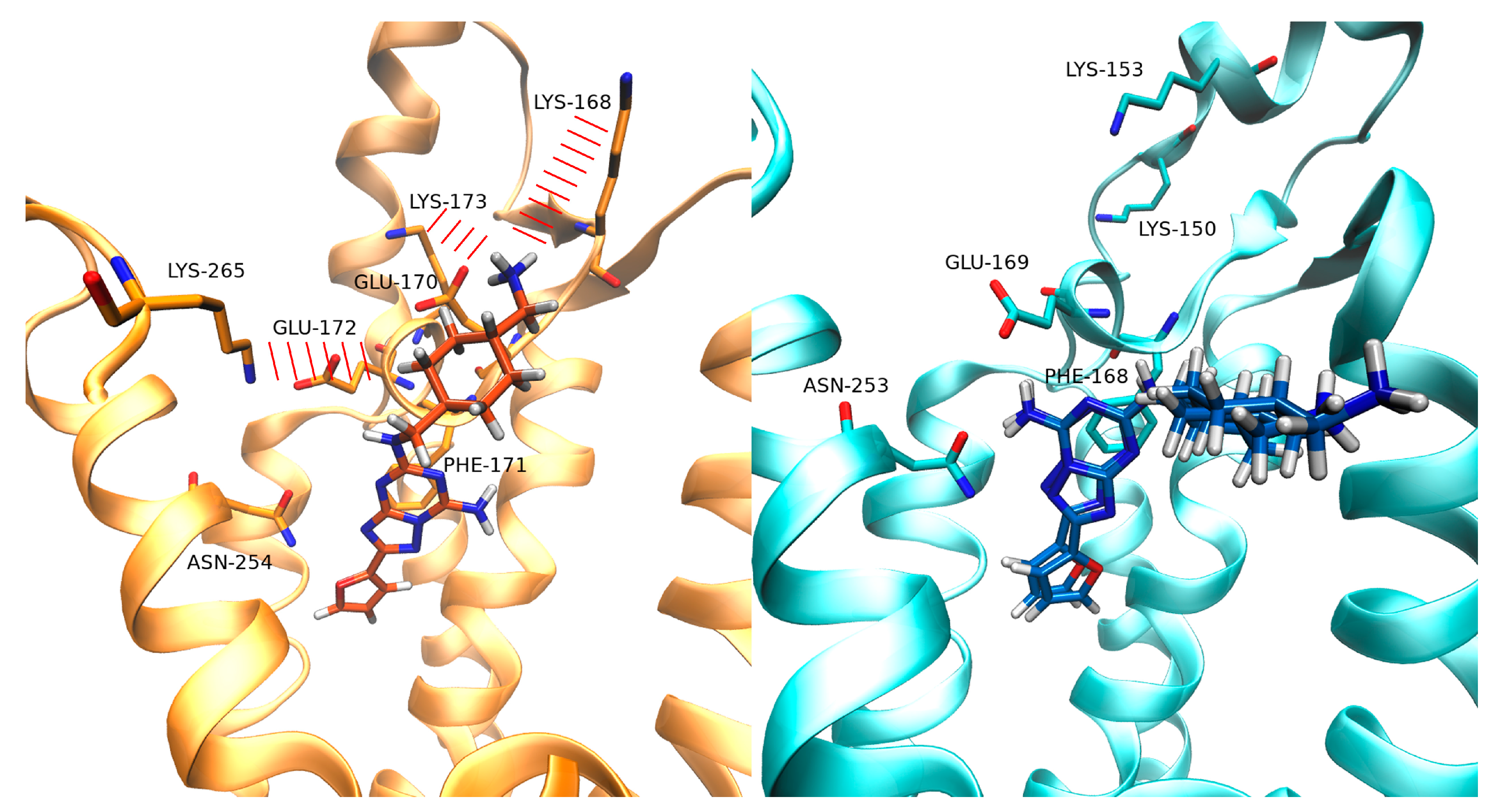 Biomolecules 10 00732 g004