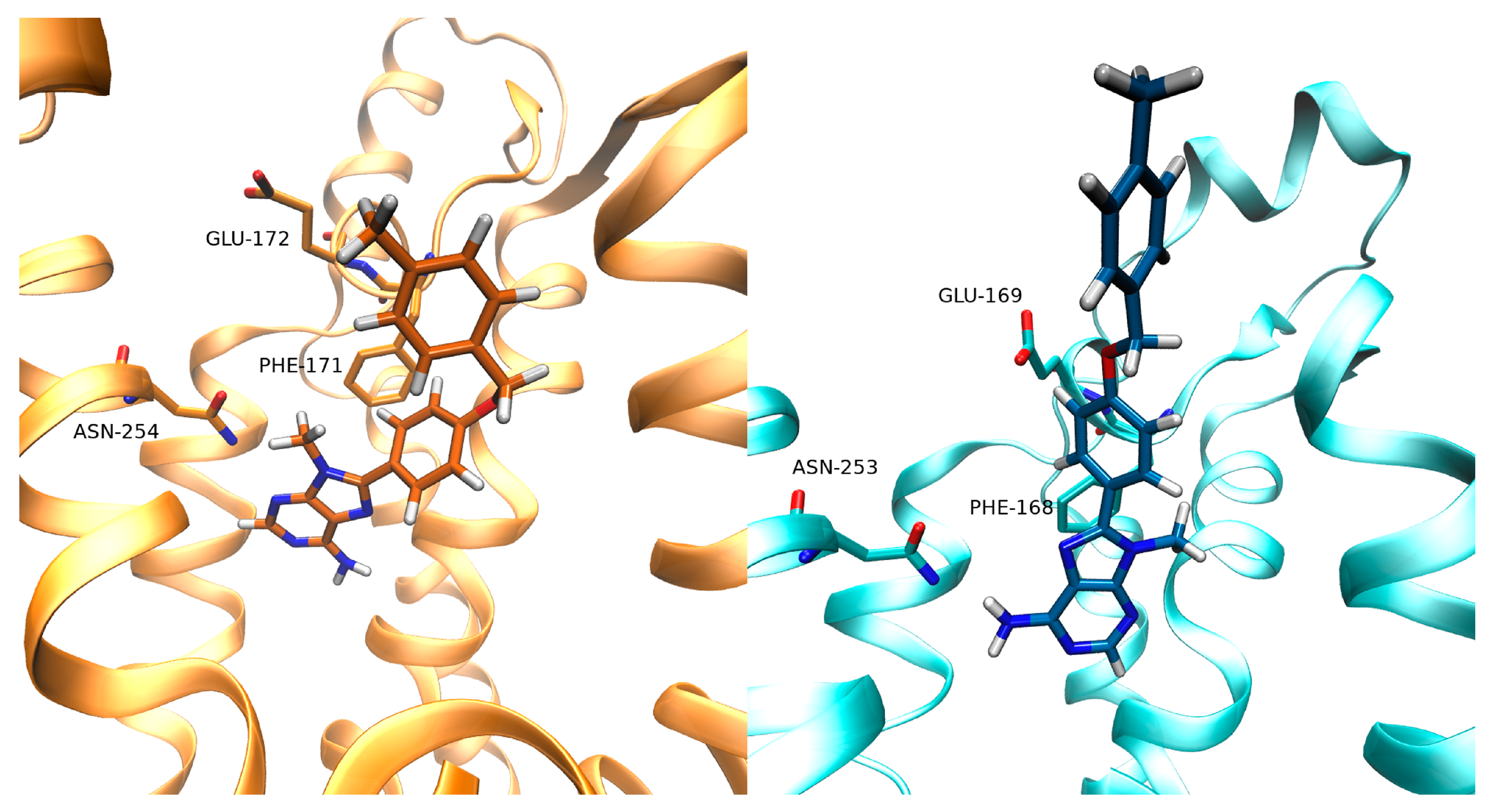 Biomolecules 10 00732 g005