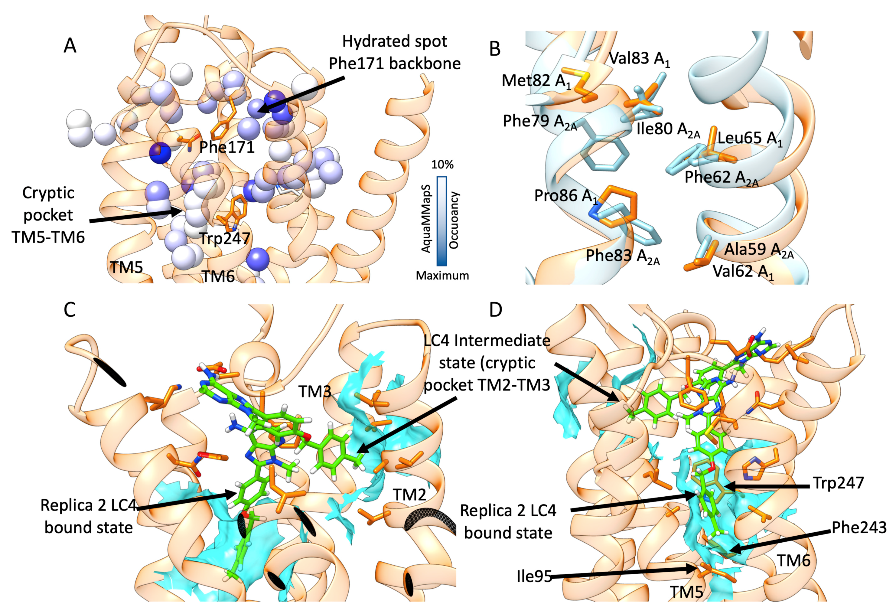 Biomolecules 10 00732 g006