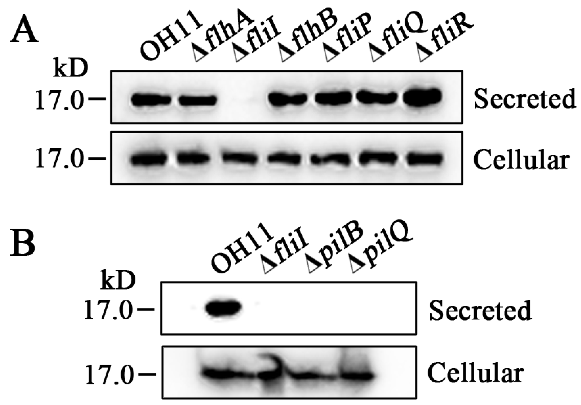 Biomolecules 10 00733 g003