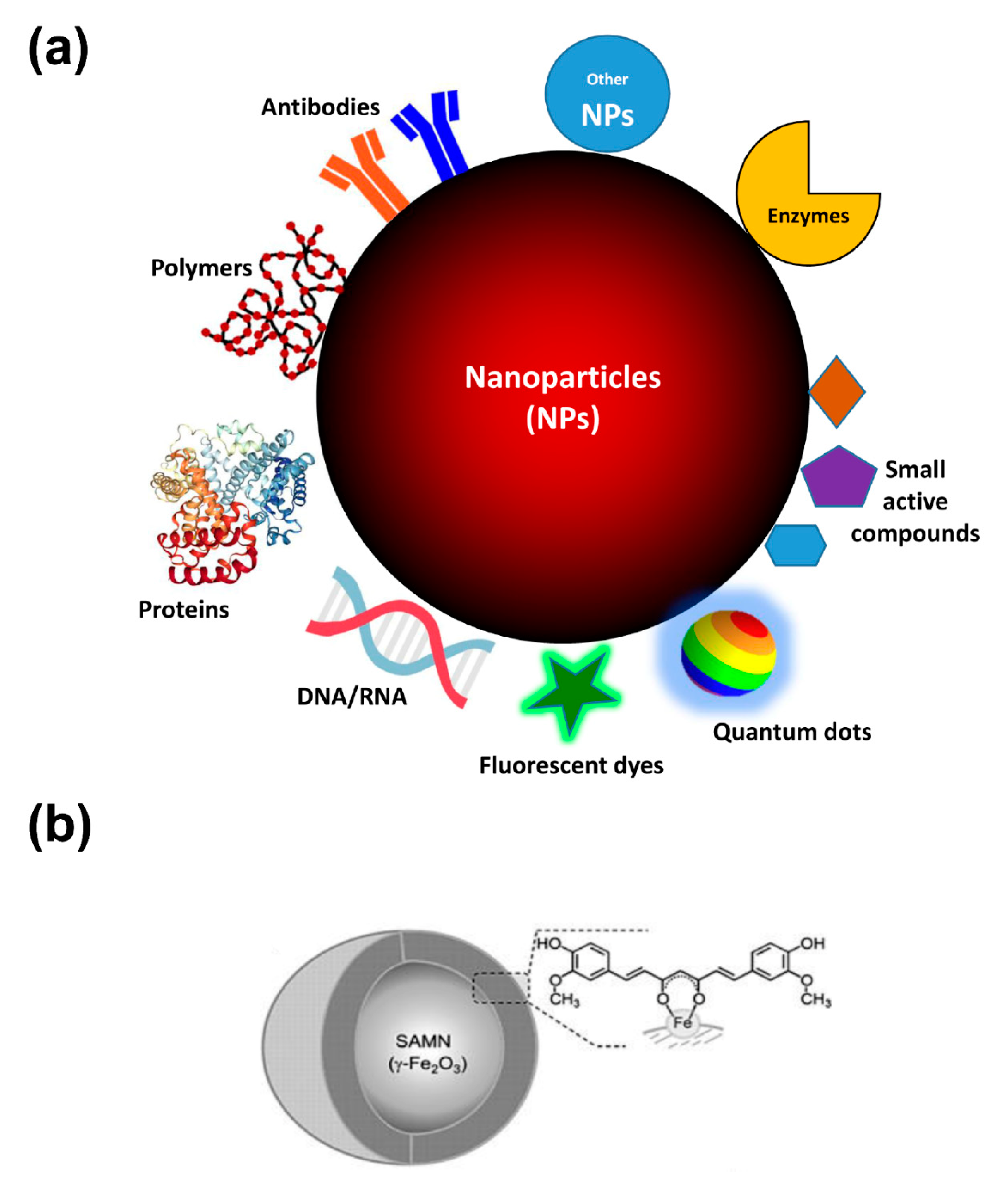 Various nanotechnology-based molecular imaging methods (A) PP/PS@MIONs