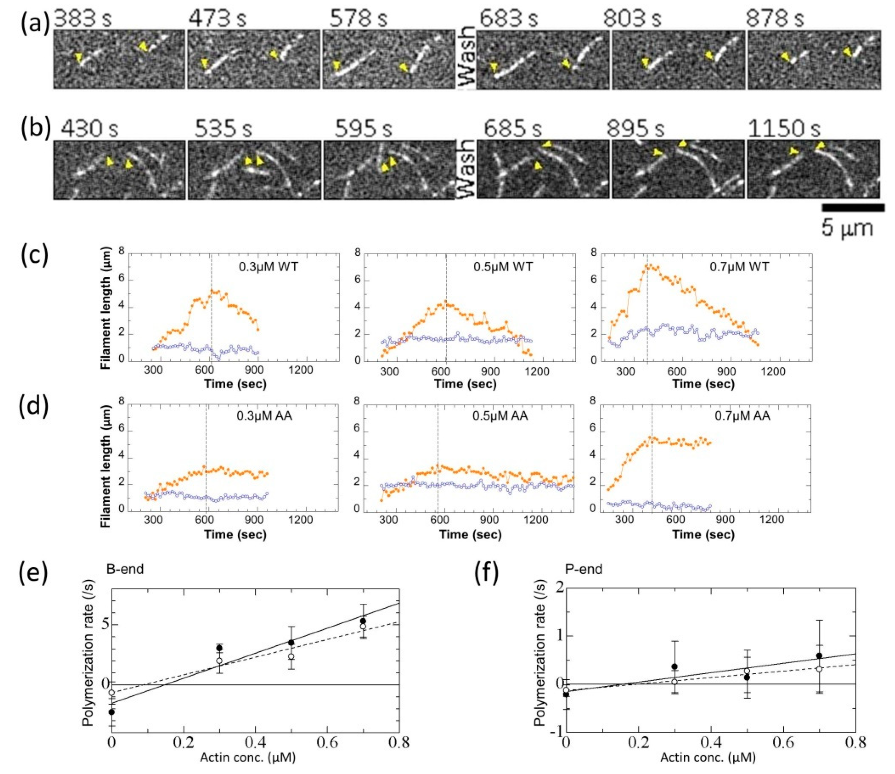 Biomolecules 10 00736 g004 Biomolecules 10 00736 g004