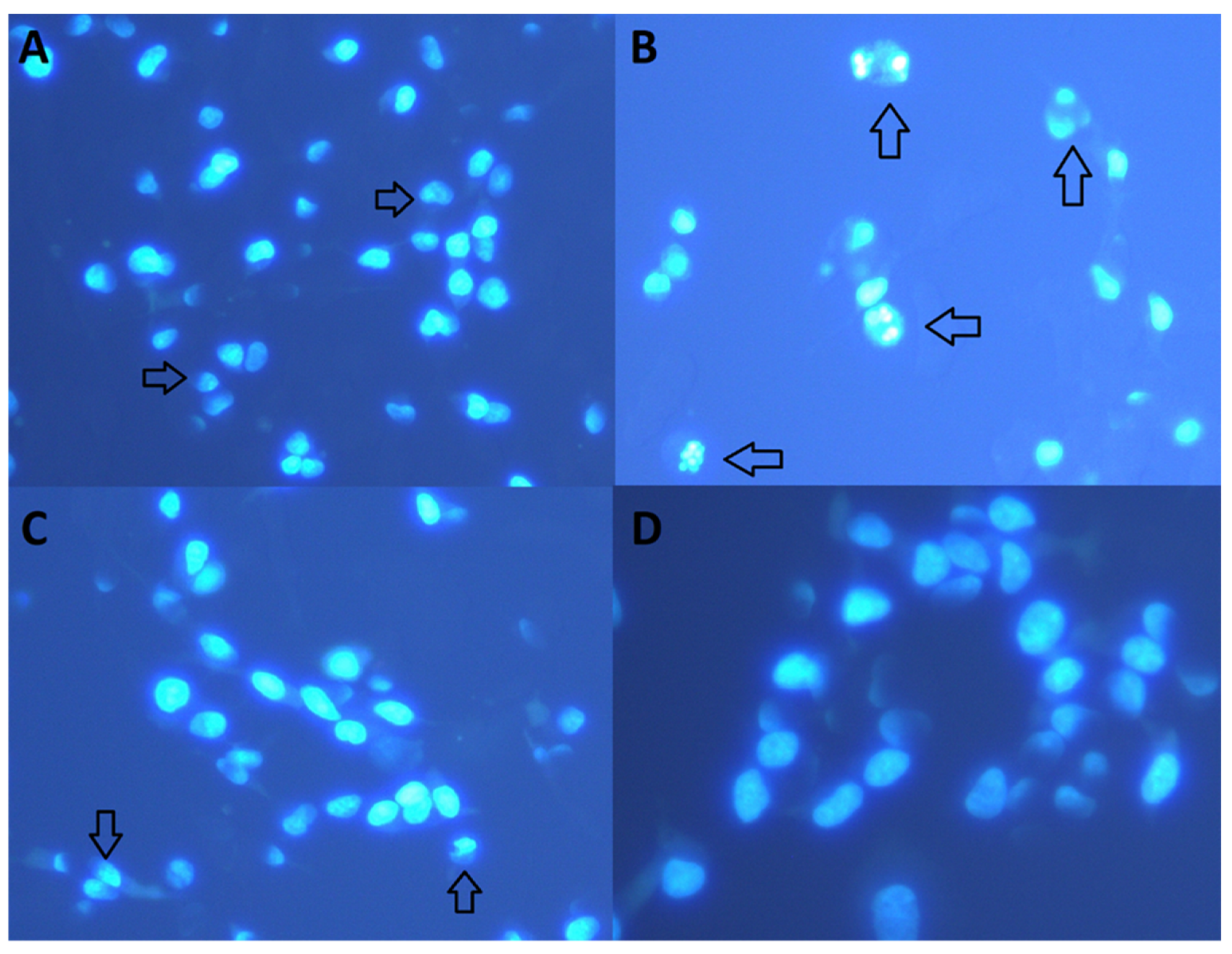 Biomolecules 10 00737 g004 Biomolecules 10 00737 g004