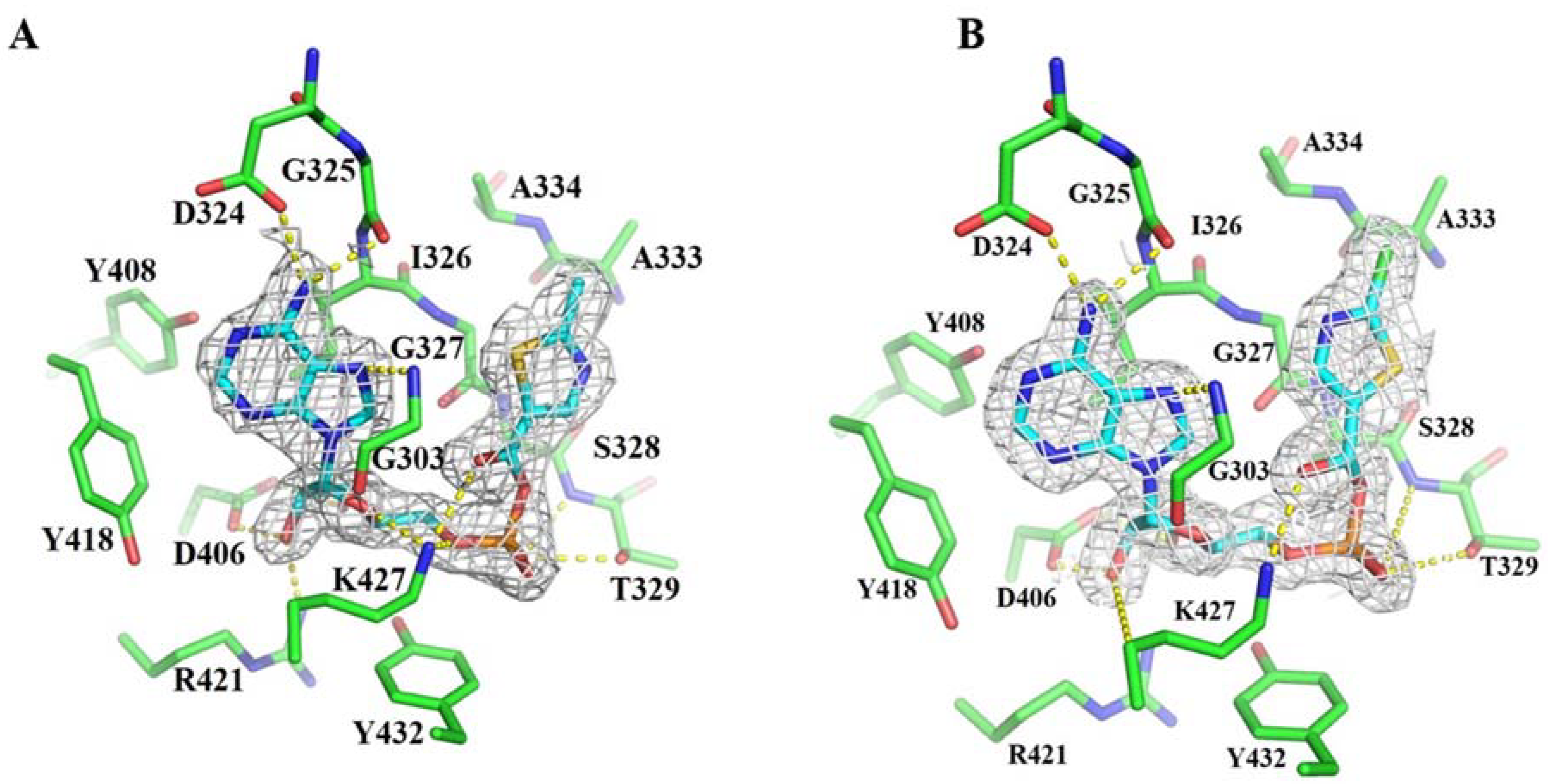 Biomolecules 10 00738 g003
